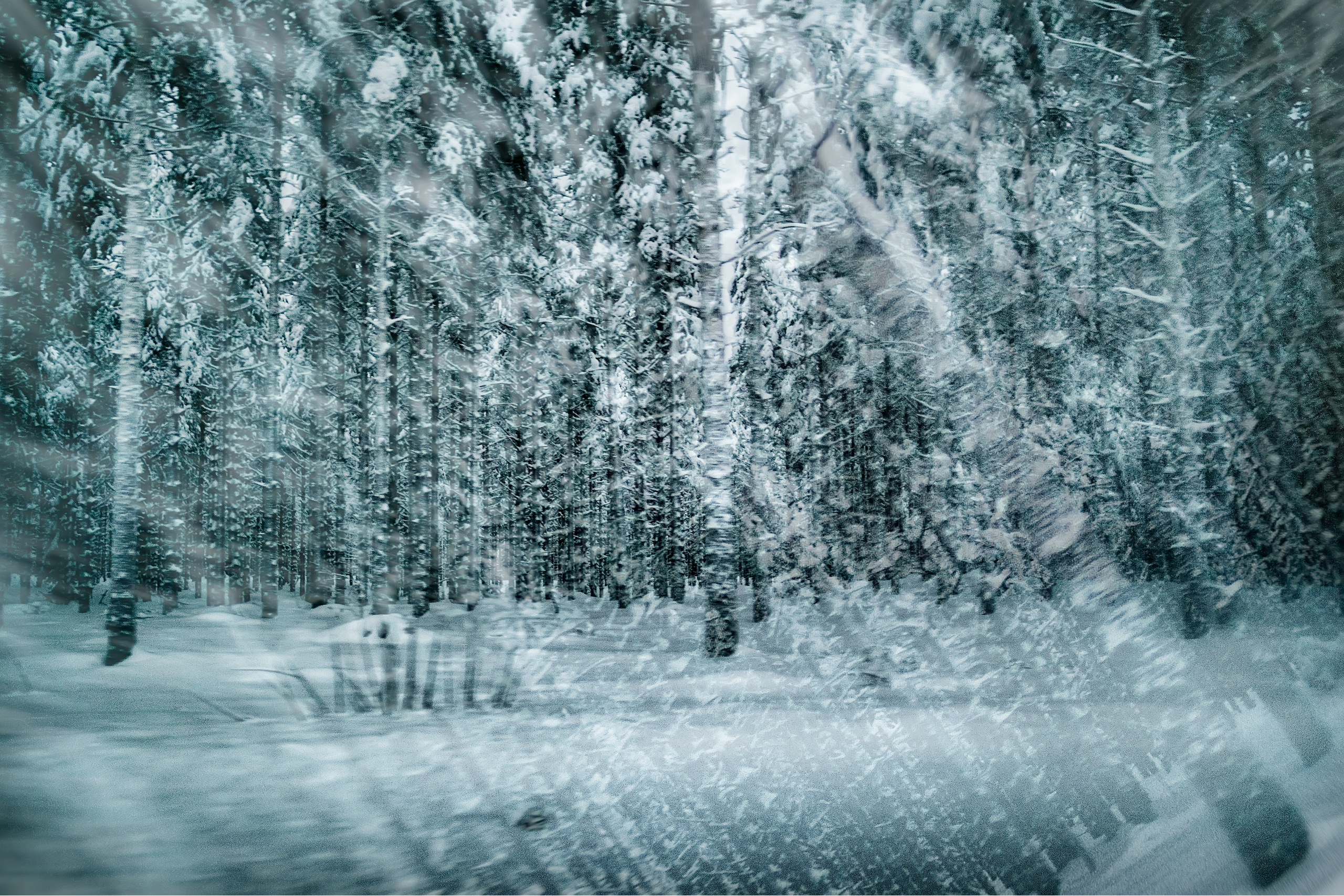 Купить фотокартину на холсте. Fotógrafa impresionista Rada Buenos Aires