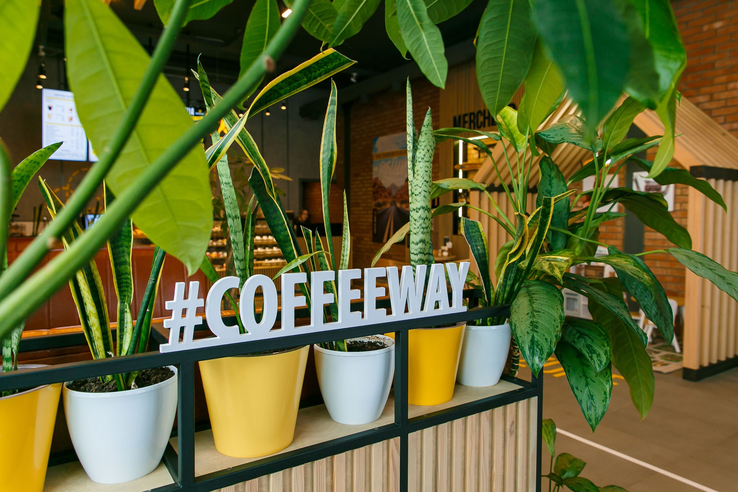 Coffee Way. Свадебный и портретный фотограф в Липецке Станислав Истомин