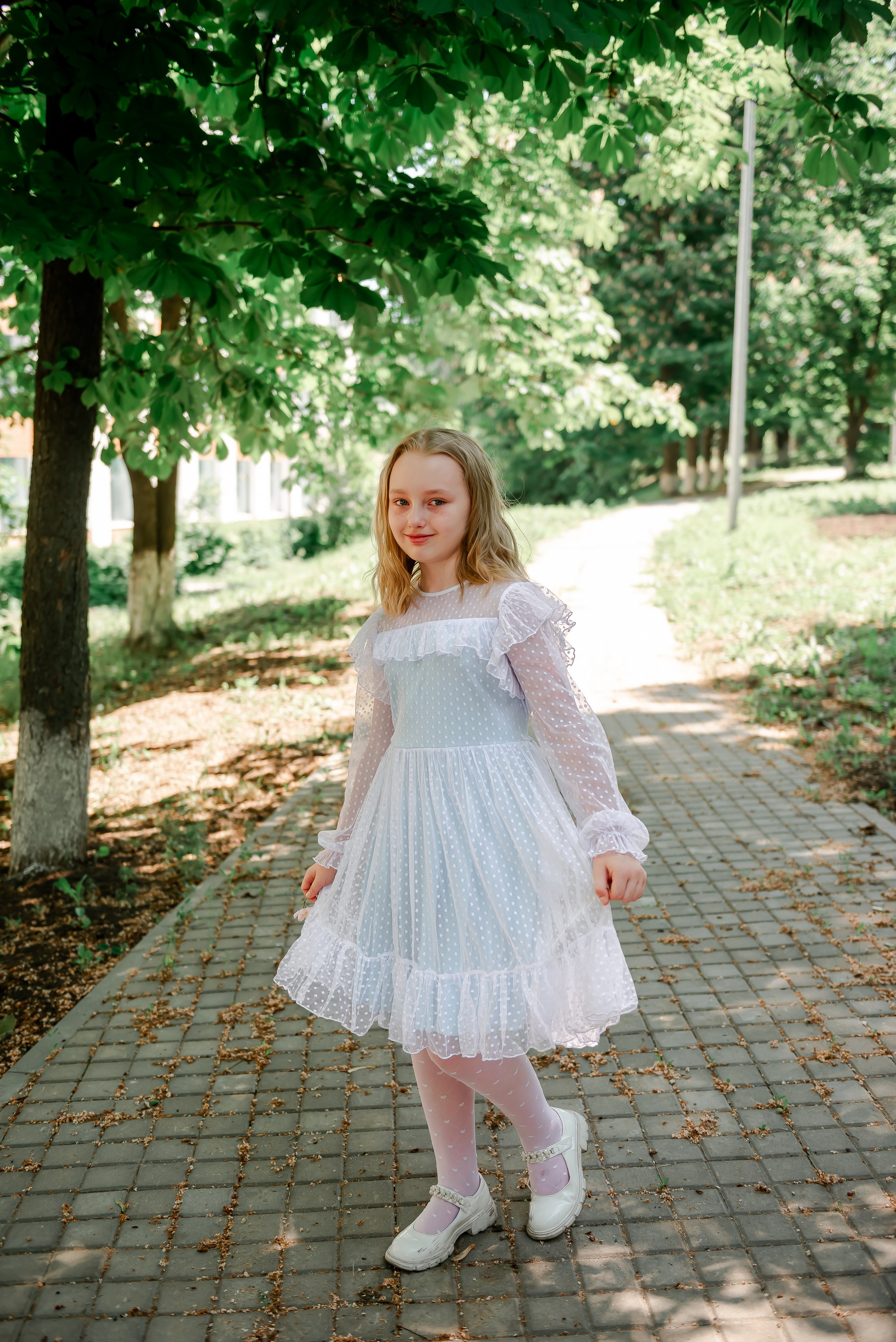 4 «Б» |г.Белгород |31 школа|2024-2025. ALBUMIA