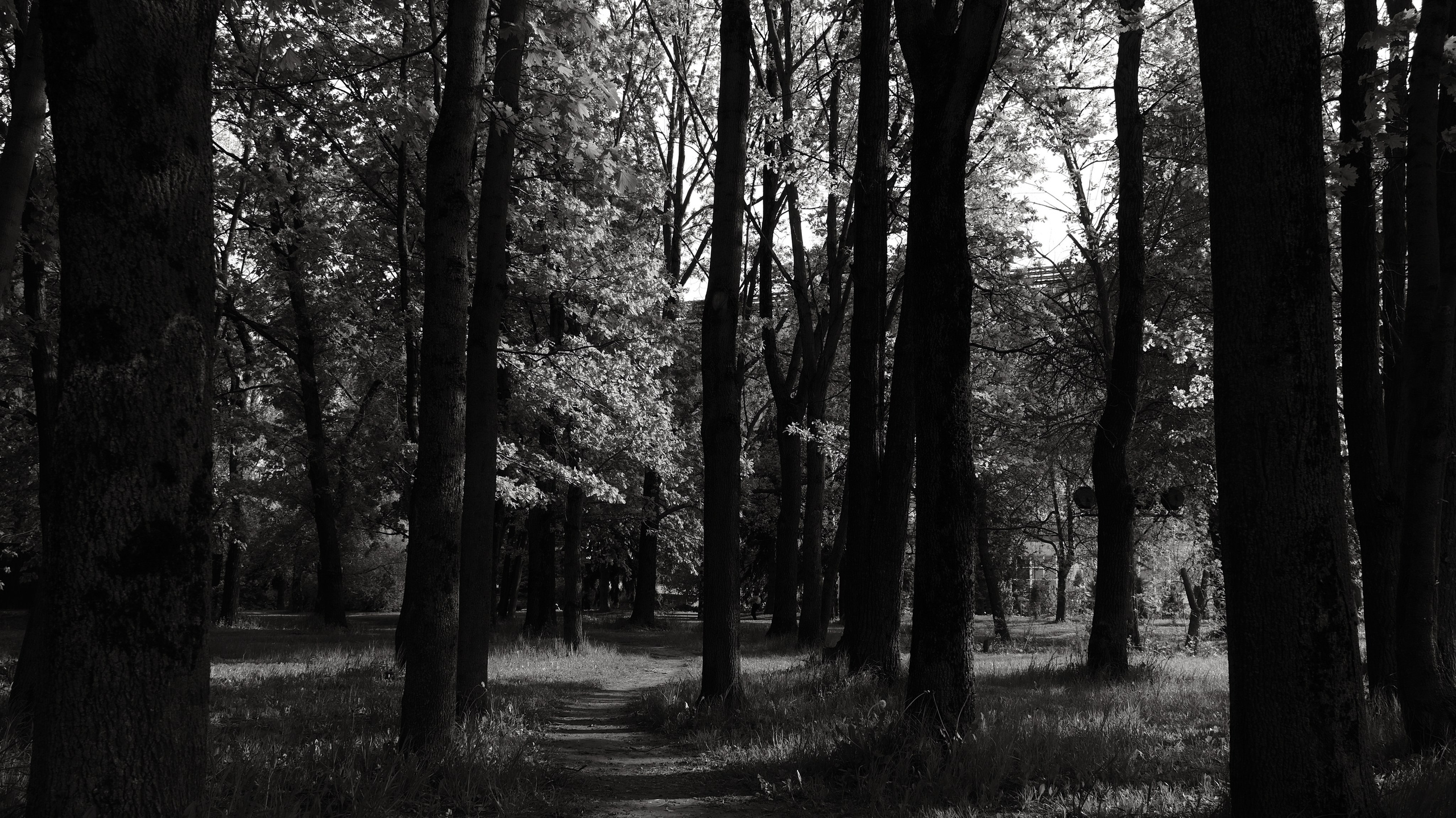 Парк в районе МГУ