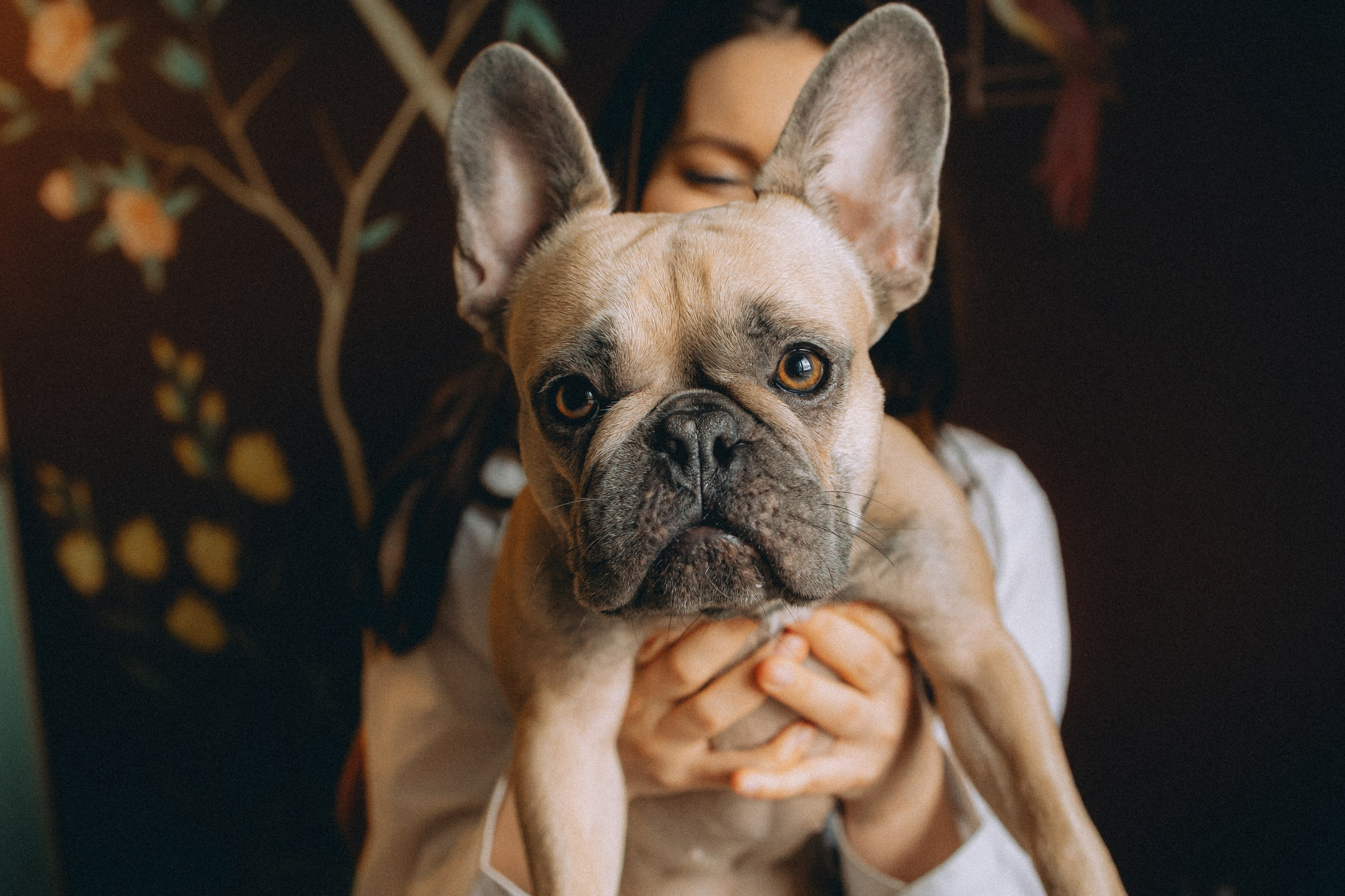 Юля, Мия и Зек