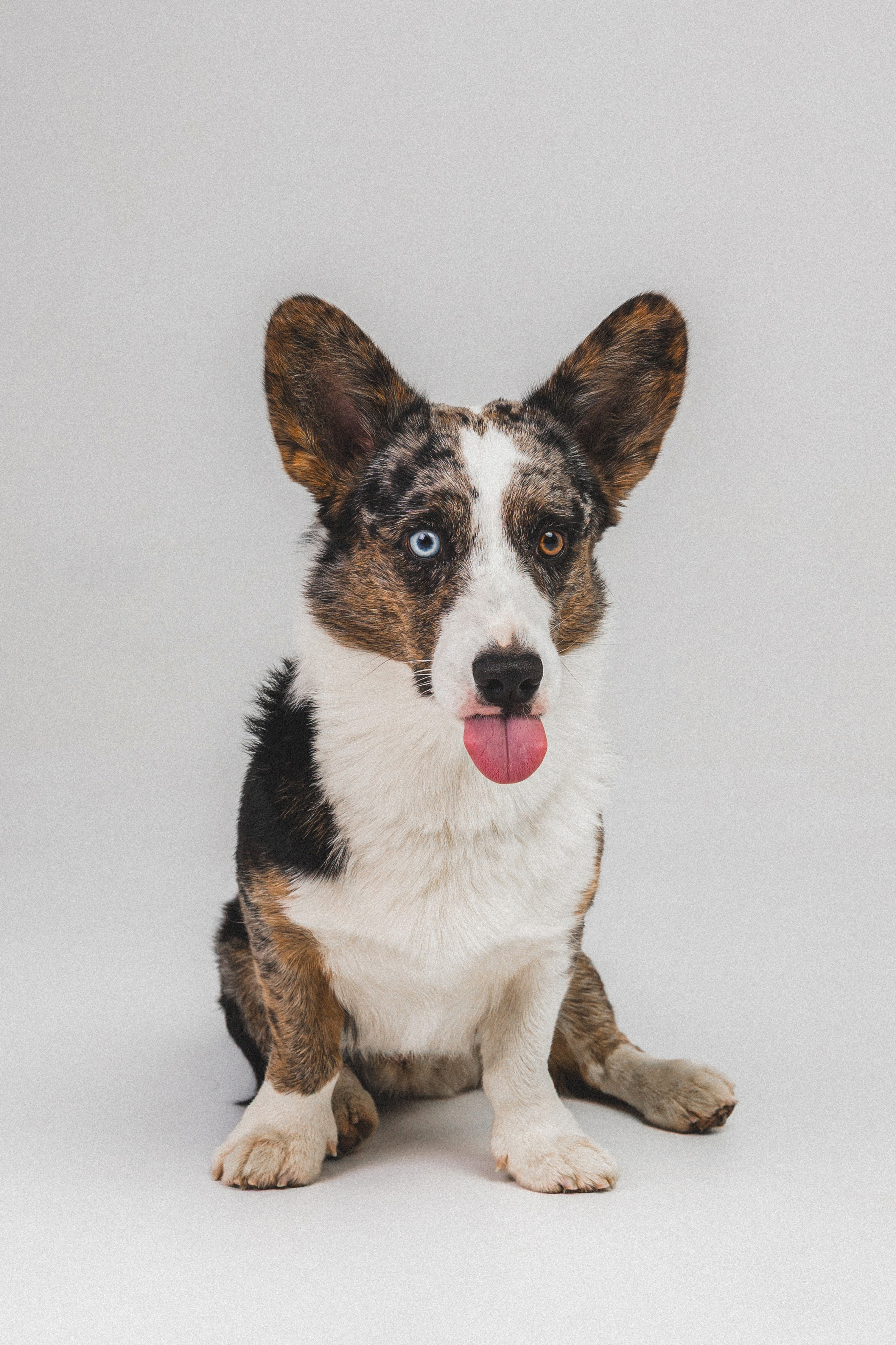 Анатолий и Рагнар