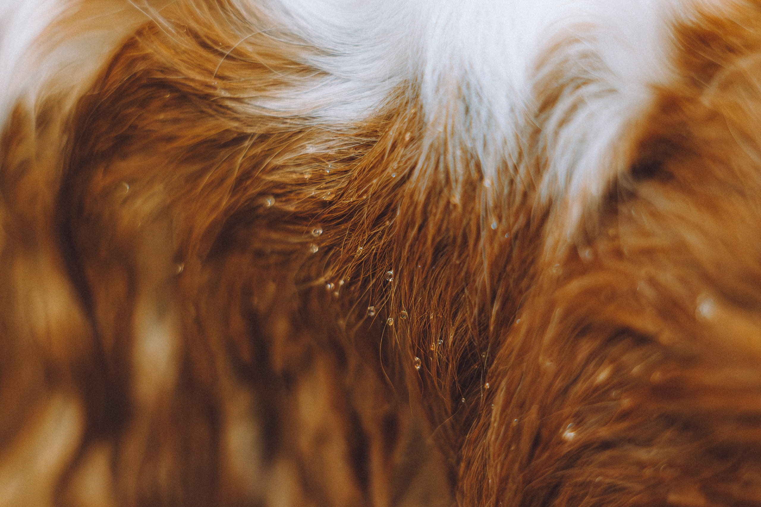 Наташа и Вики