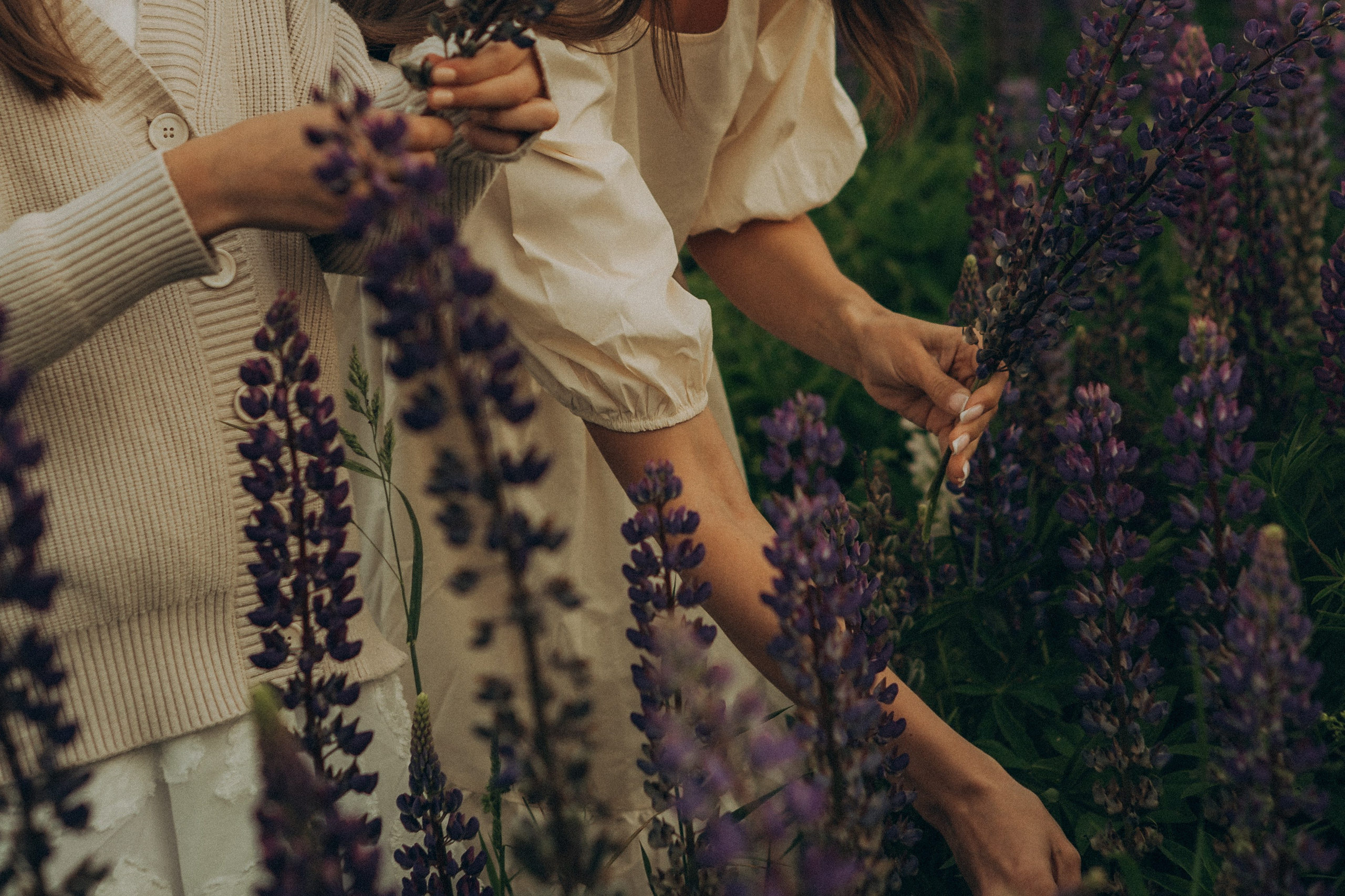 Июньская прогулка. Гаврилова Настя семейный фотограф lifestyle в Москве