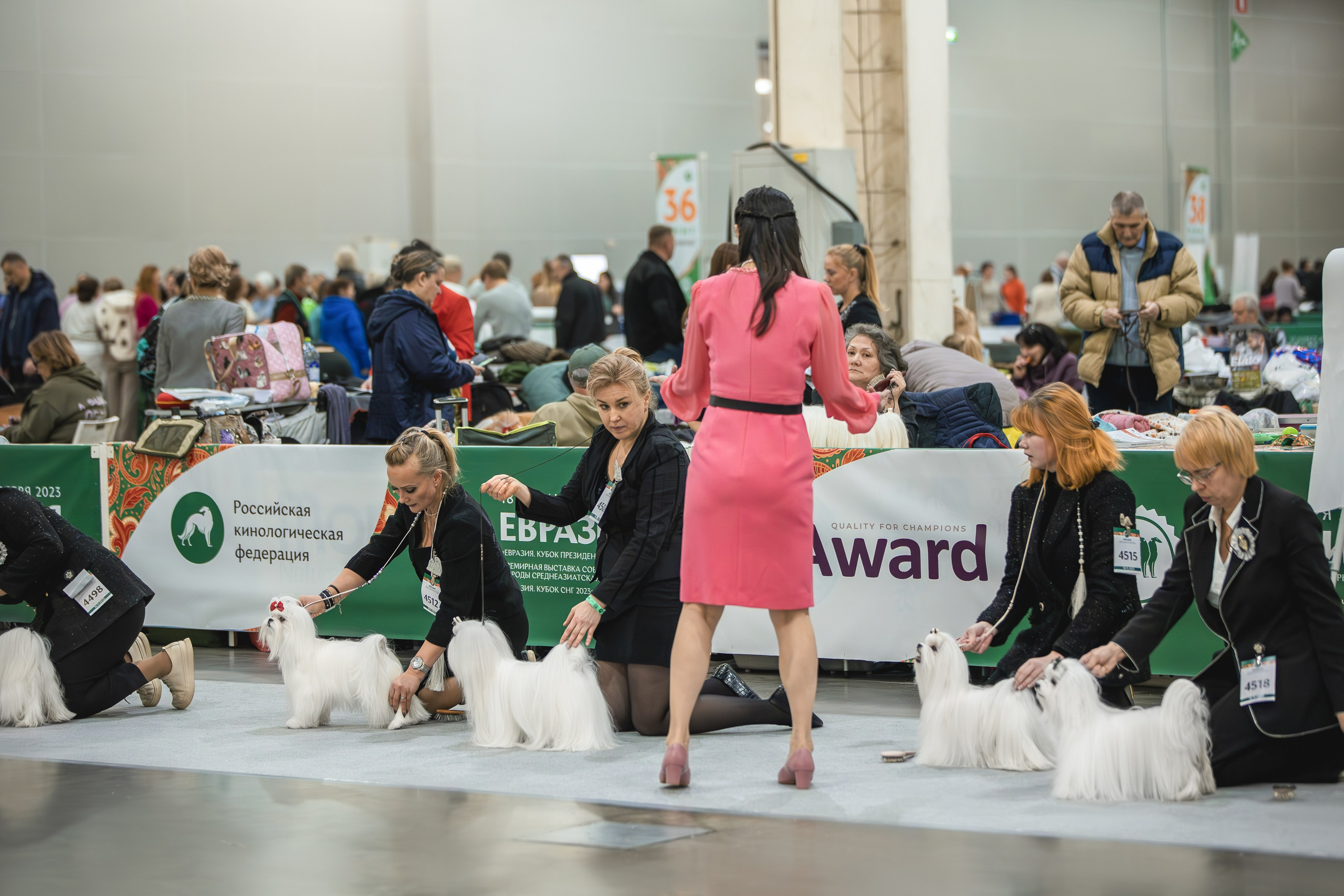 Выставки. Фотограф анималист в Москве Майорова Евгения