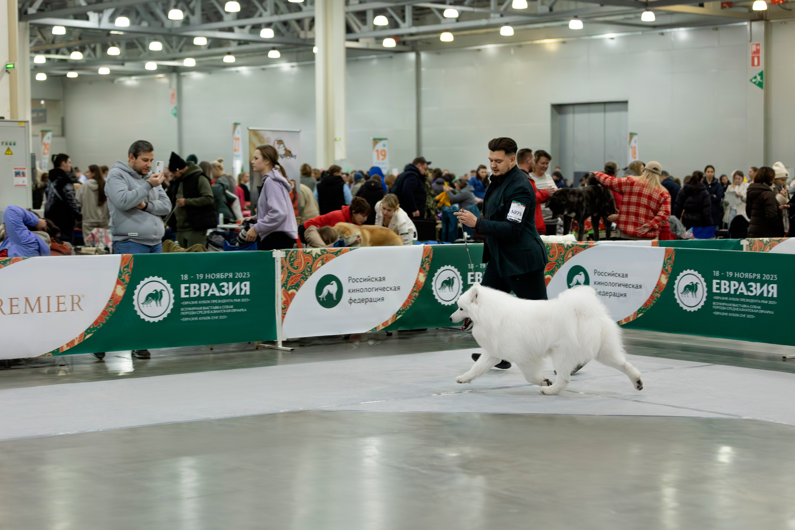 Евразия 2023. Фотограф анималист в Москве Майорова Евгения