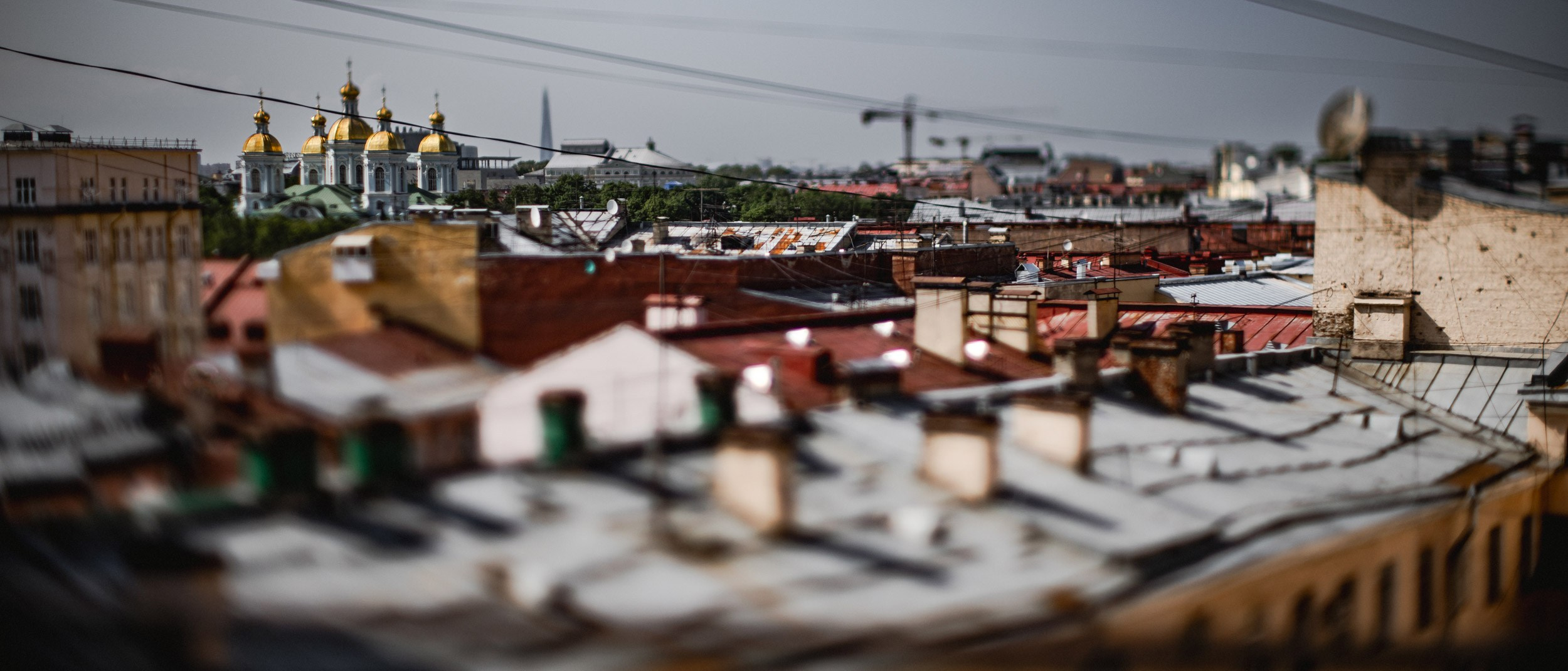 Saint Petersburg. The Andris