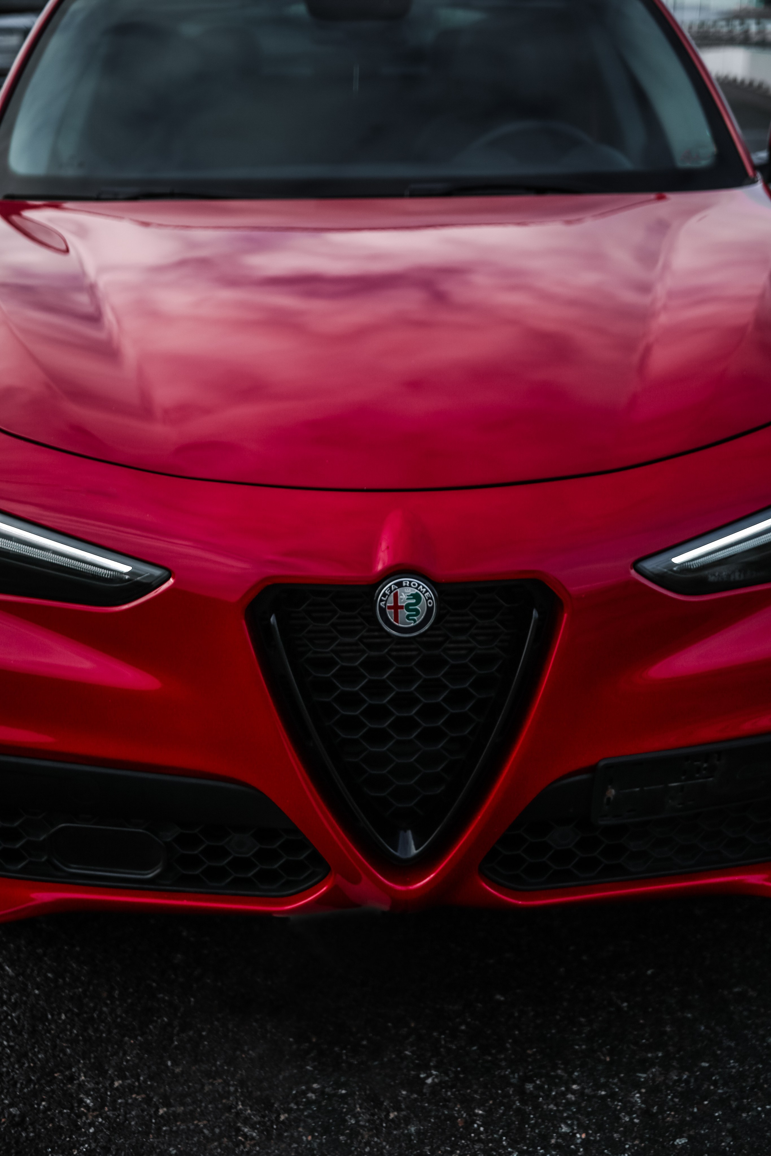 Автомобили. Портретный и репортажный фотограф в Санкт-Петербурге Елизавета Я