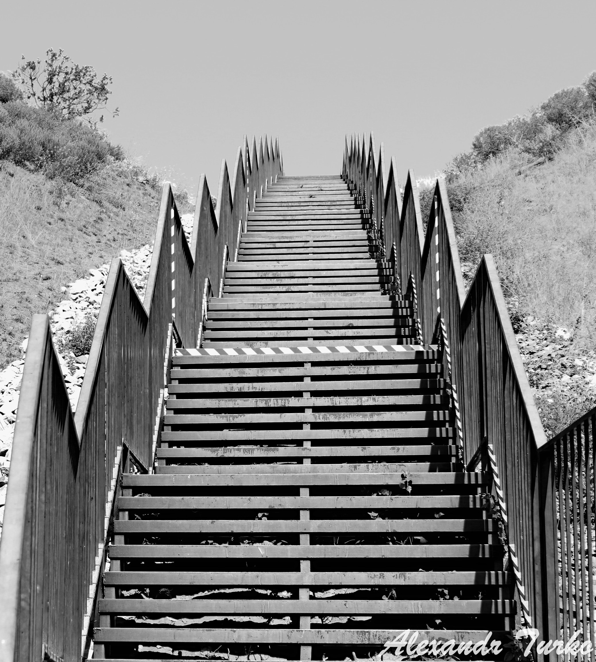 Черно-белое. Фотограф из Донецка Александр Турко