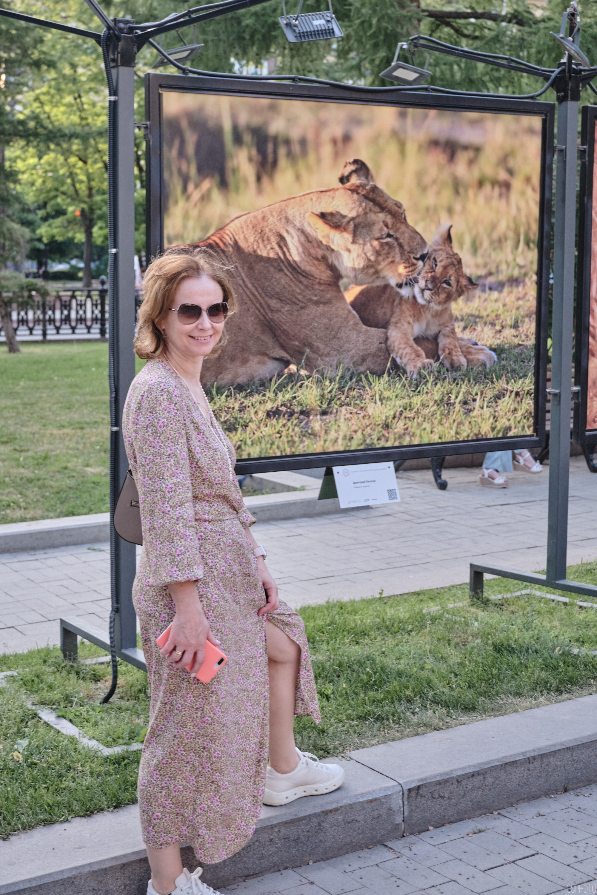 Бульвары для всех l Лето в Москве. Фотографъ Сергѣевъ. Поймать мгновеніе