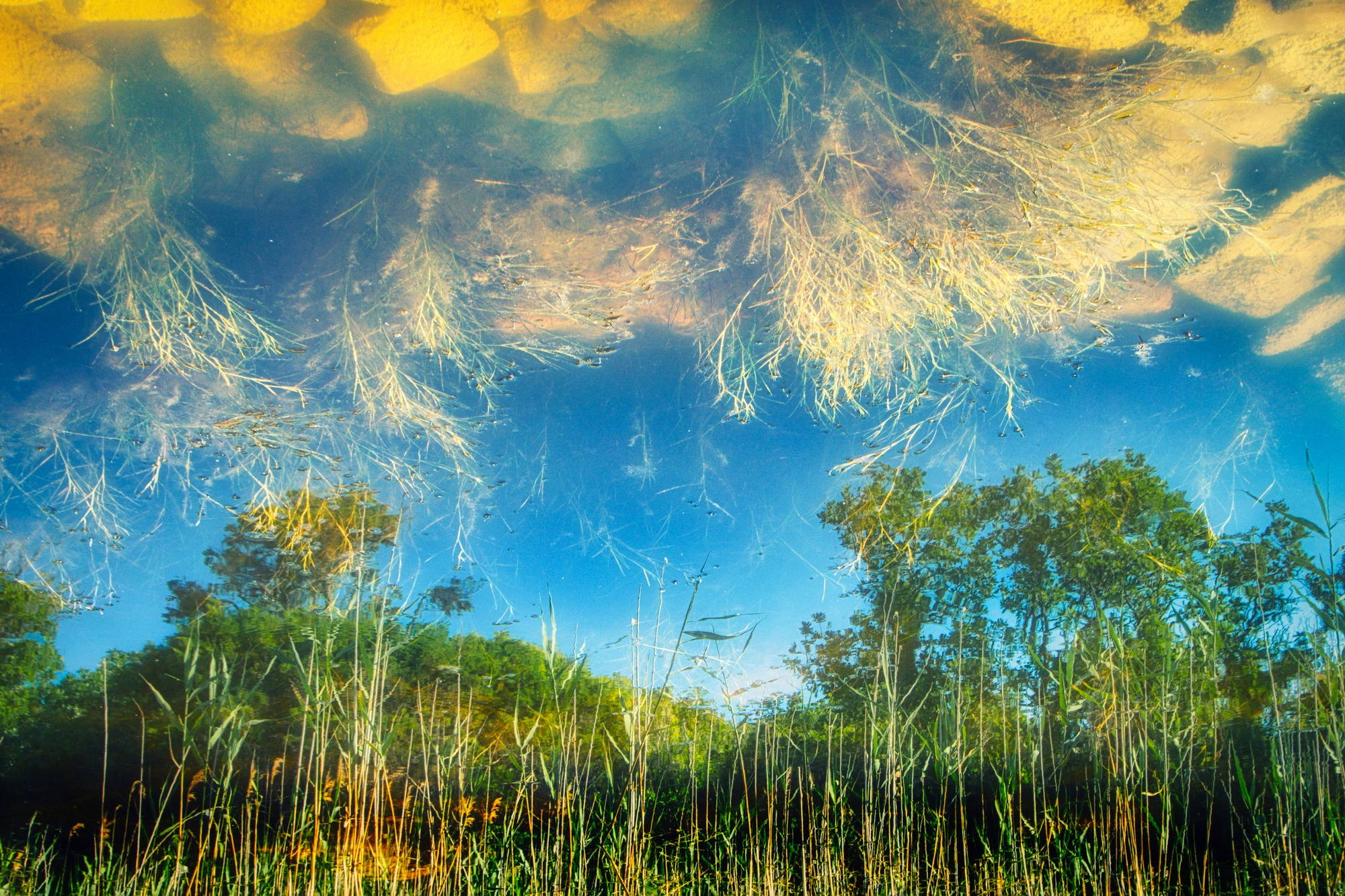 Художественная фотография. Фотограф в Сочи Владимир Ачинцев