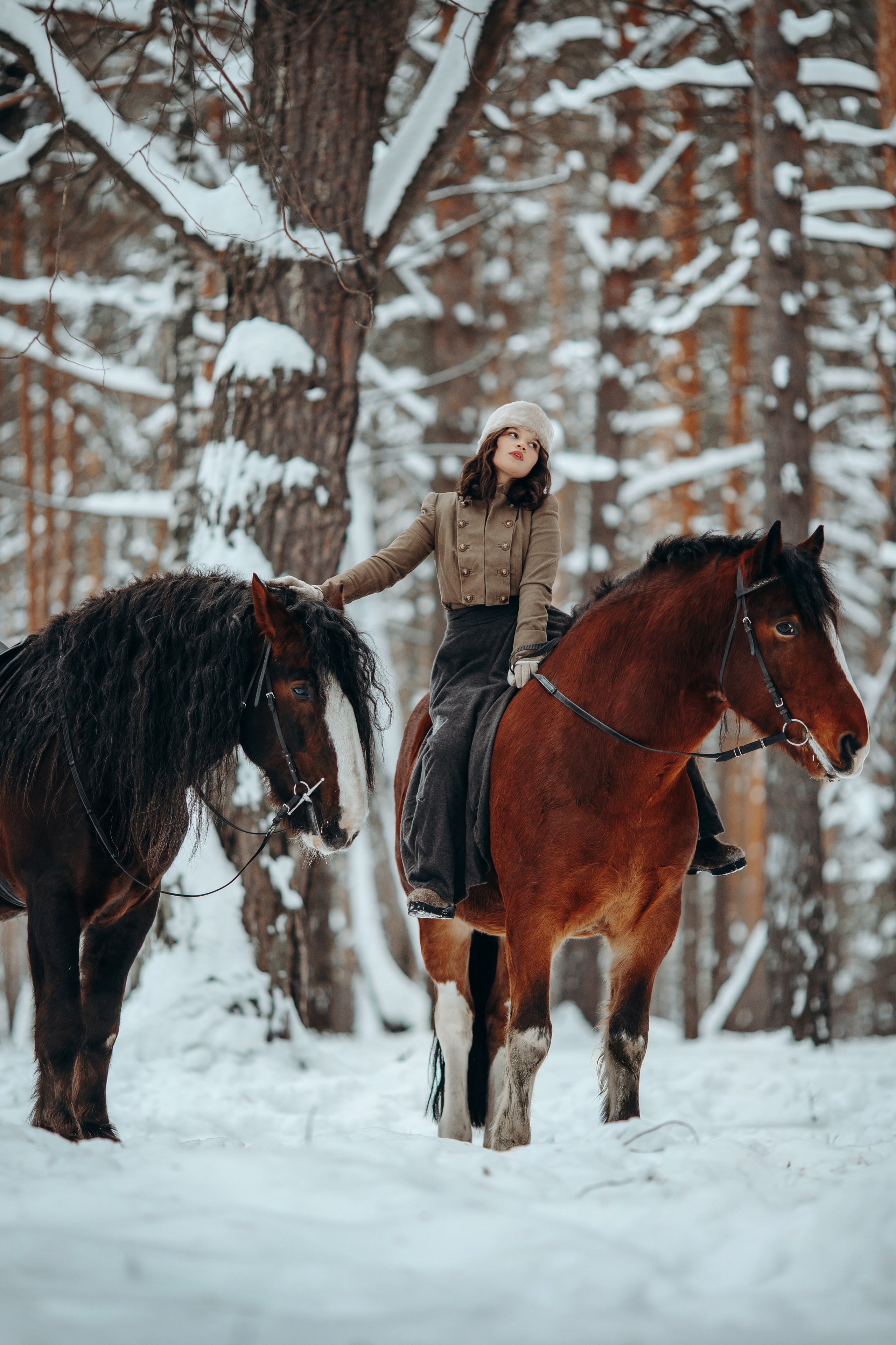 Аня и два тяжика (Малыш и Спартак). Анна Молчанова конный фотограф в Тюмени | фотосессии с лошадьми Тюмень