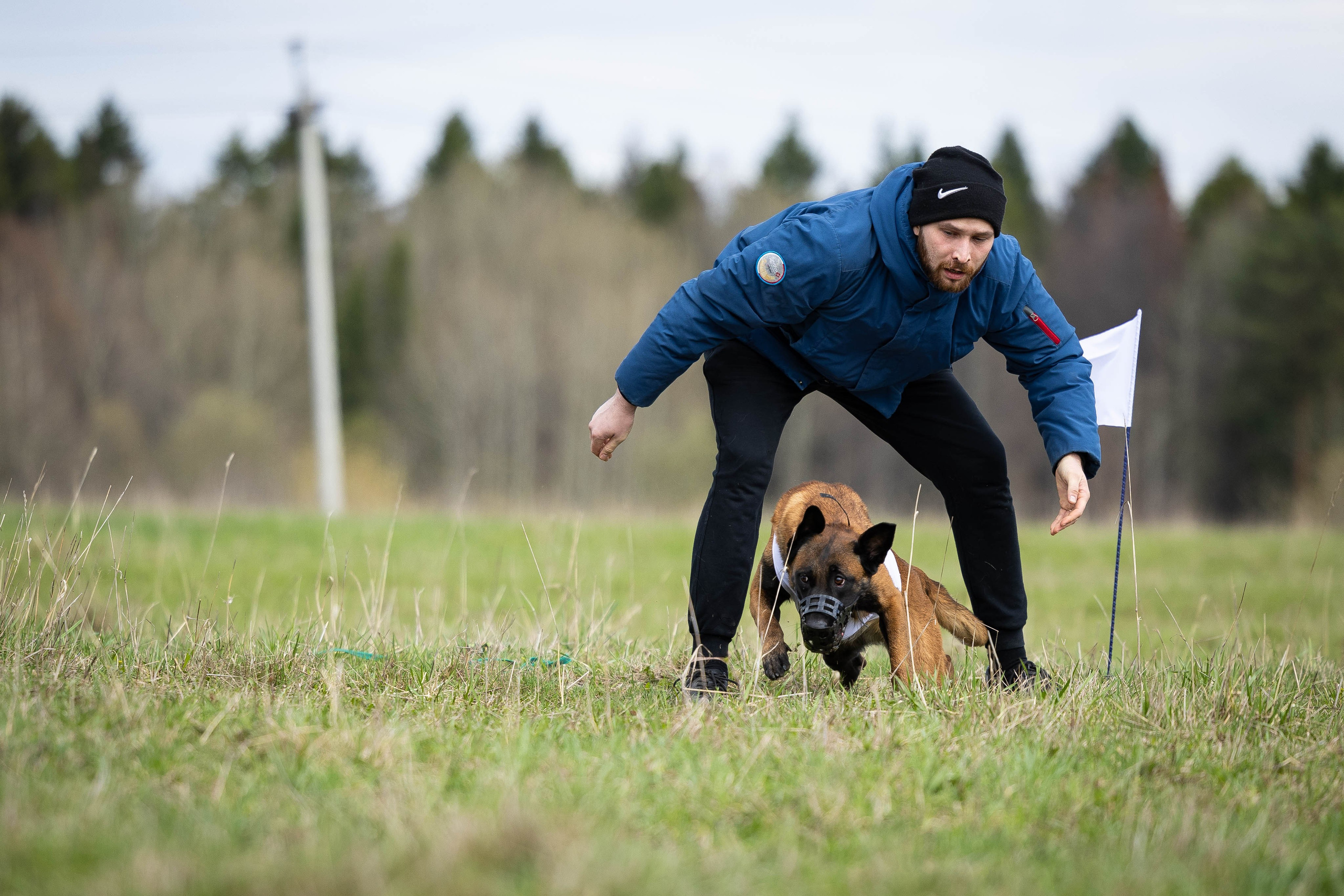 Курсинг. Фотограф Анималист в Перми Анастасия Остерман
