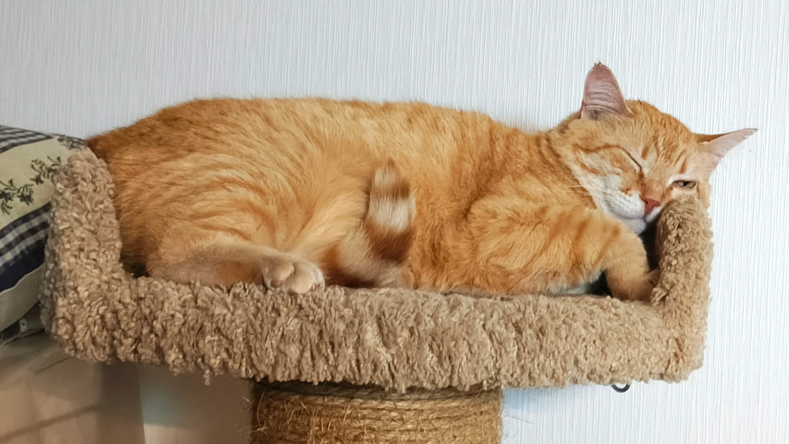 Рекламная съемка в Москве. Геннадий Степанов —фотограф в Москве