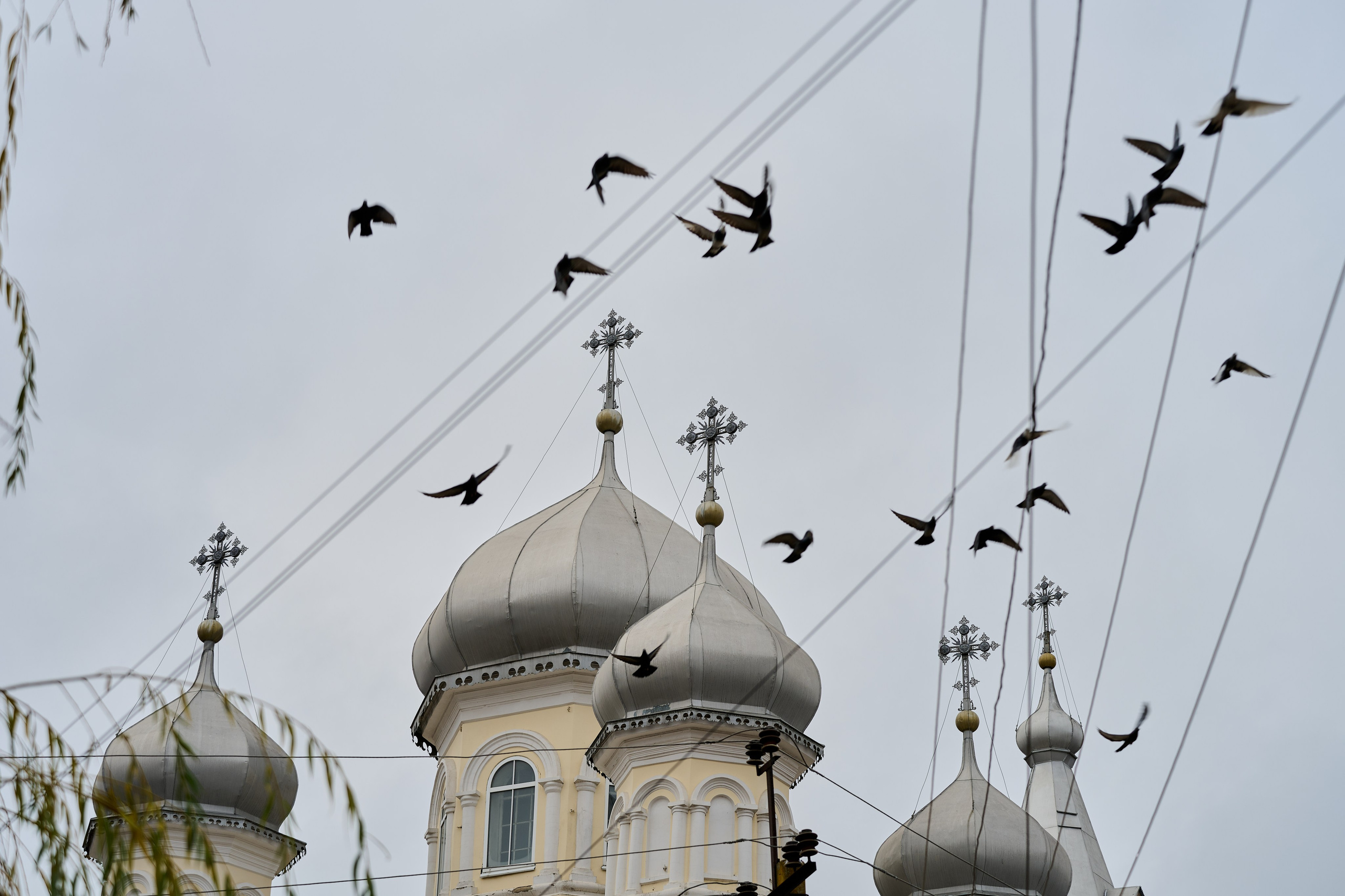 Старобельск. Луганская область. Фотопроект «Территории»