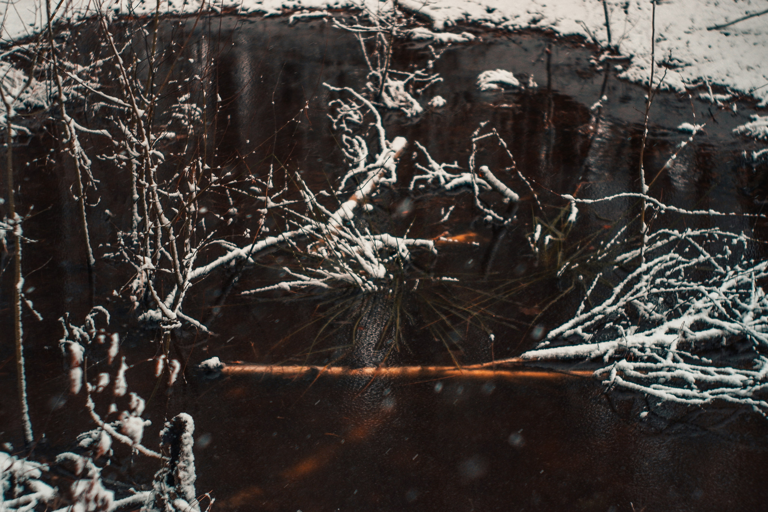 ЧБ  пейзажи (BnW landscape). Фотограф (photographer) Lischinski Vitaliy