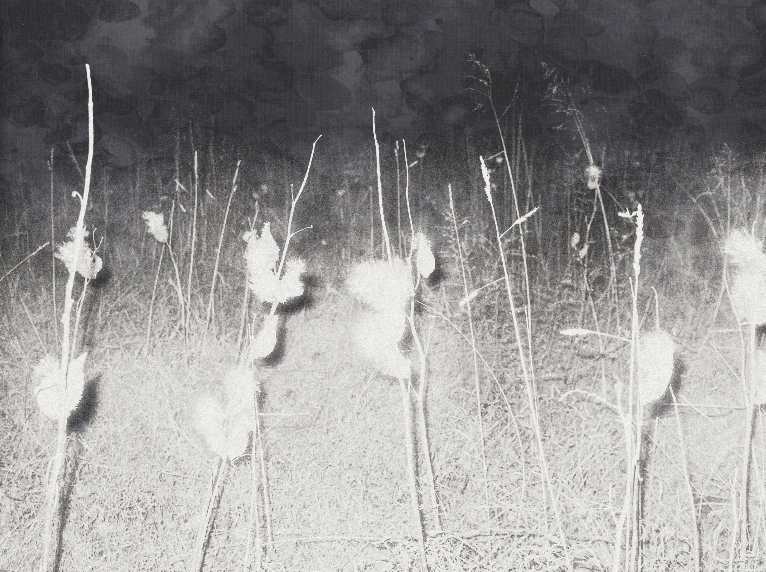 Проект «Somnia» Венкай Ван (Wenkai Wang). Private image