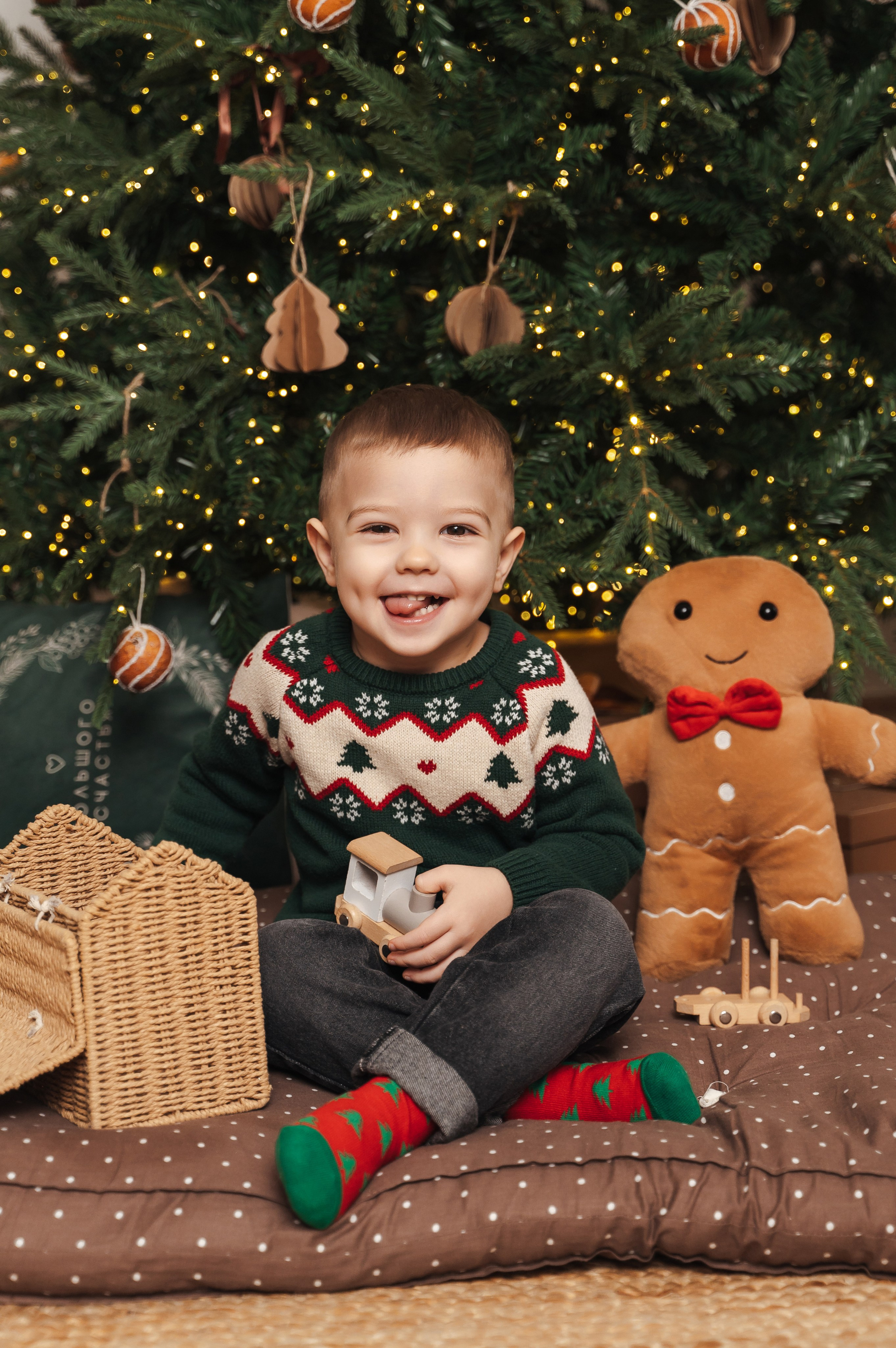 Новый год. Фотограф Дарья Борисова в г. Новочеркасск и РО