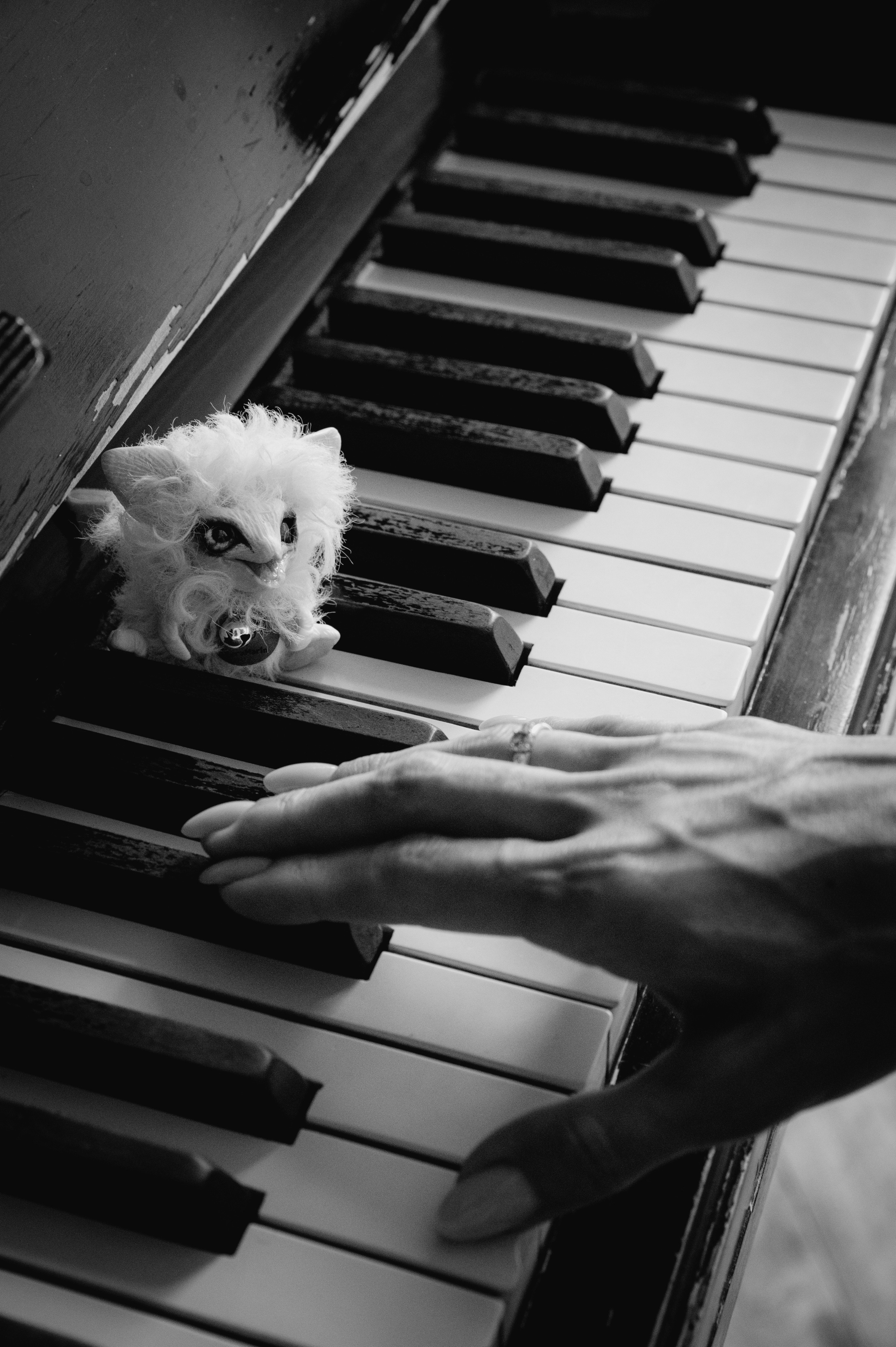Серия об авторе игрушек LeraMarin. Свадебный и портретный фотограф в Москве Жердев Даниил