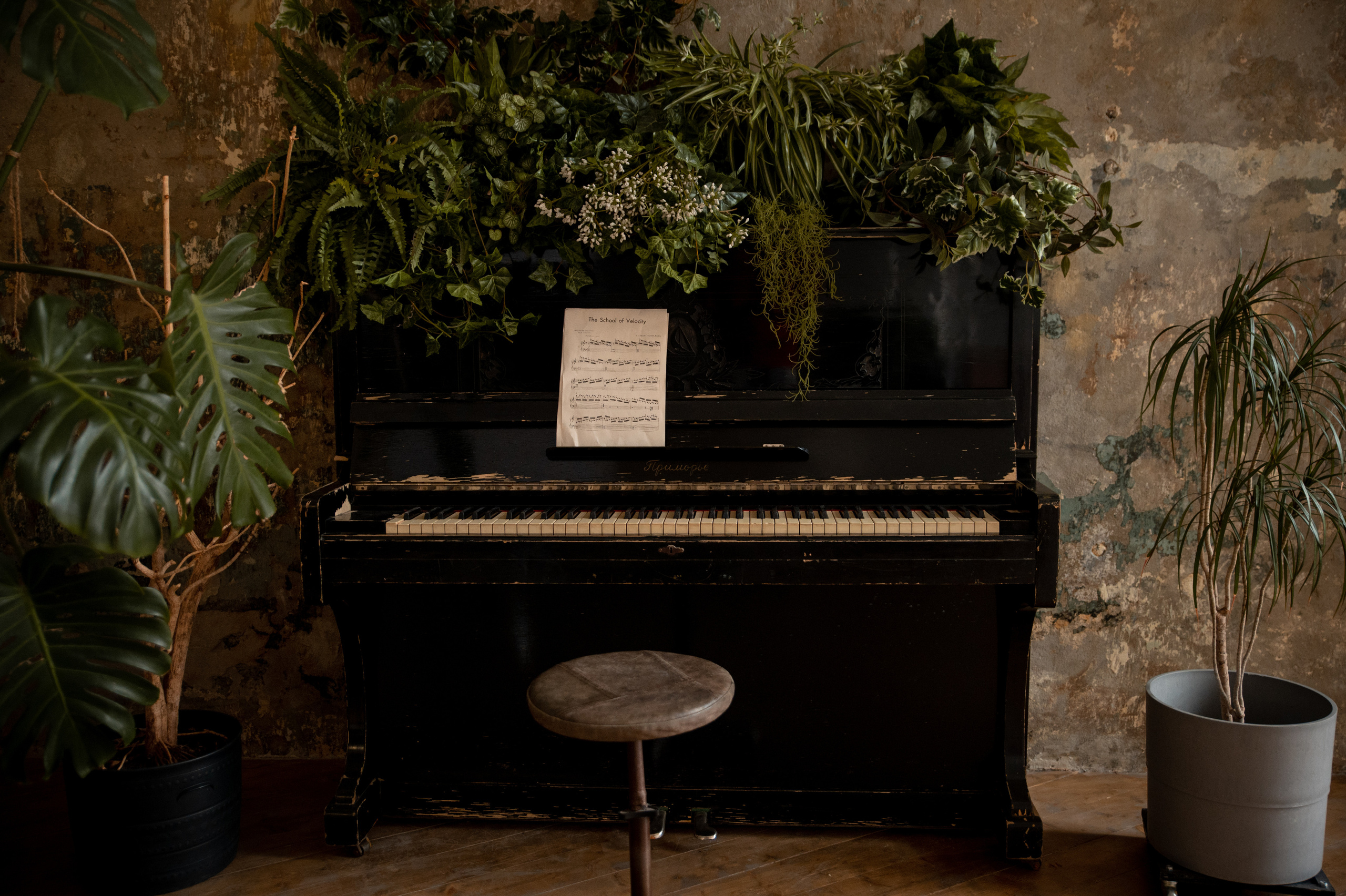 Серия об авторе игрушек LeraMarin. Свадебный и портретный фотограф в Москве Жердев Даниил