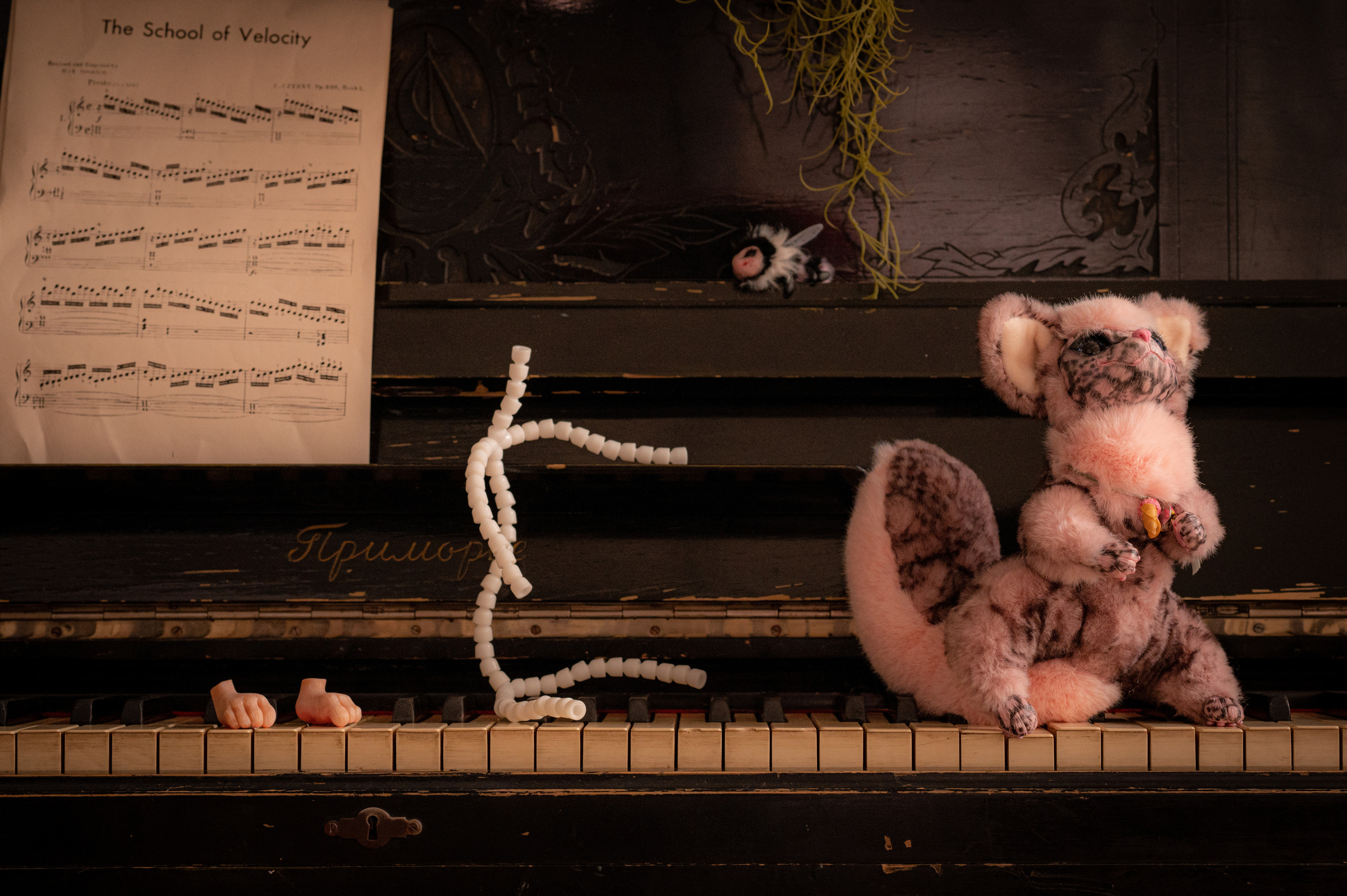 Серия об авторе игрушек LeraMarin. Свадебный и портретный фотограф в Москве Жердев Даниил