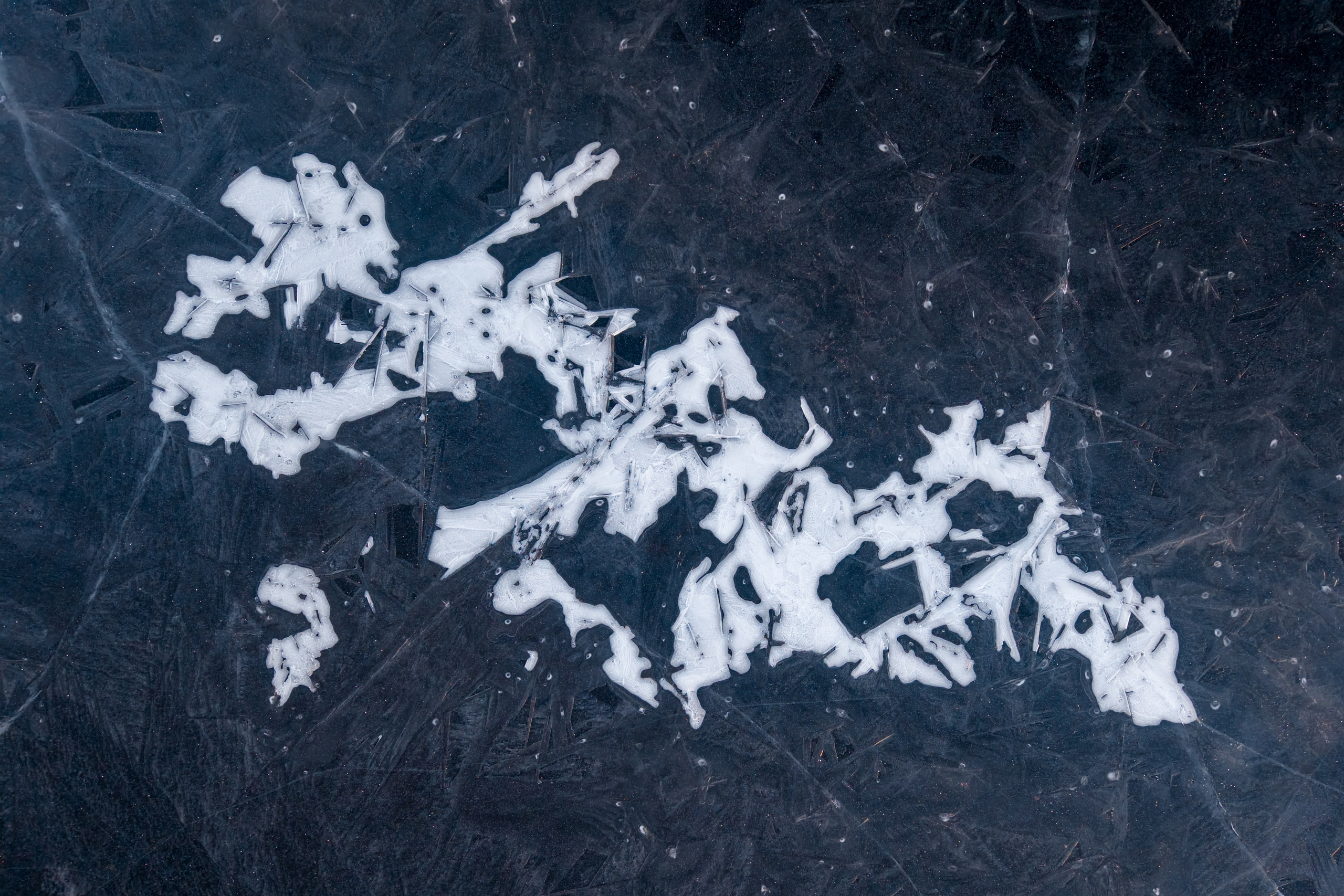 Крупный план + Арт. Daria wanderer photography