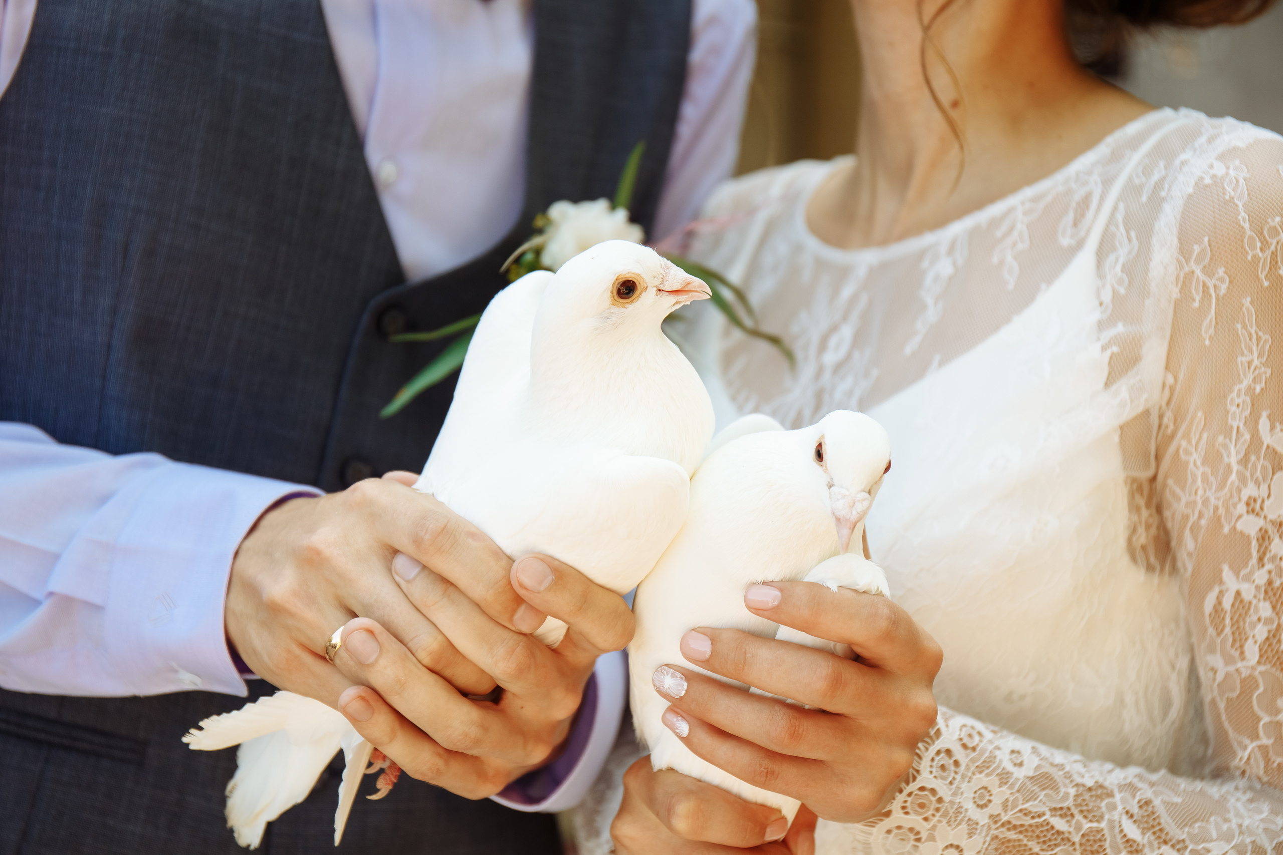 Wedding. Портретный фотограф, Славянка