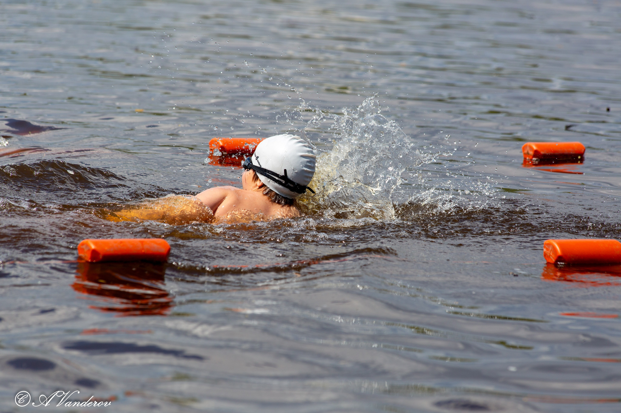Заплыв 02.06.2024. Фотограф Омск | Александр Вандеров