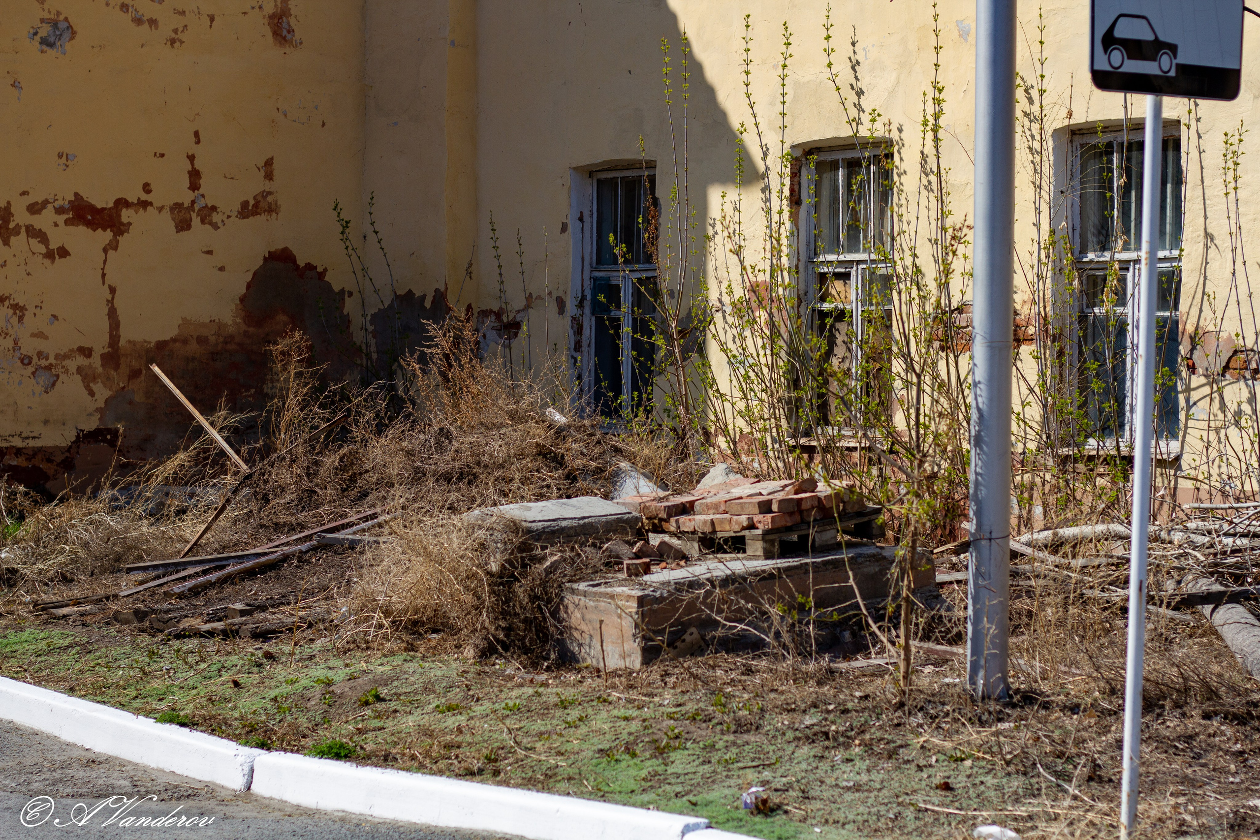 Омск 2023. Фотограф Омск | Александр Вандеров