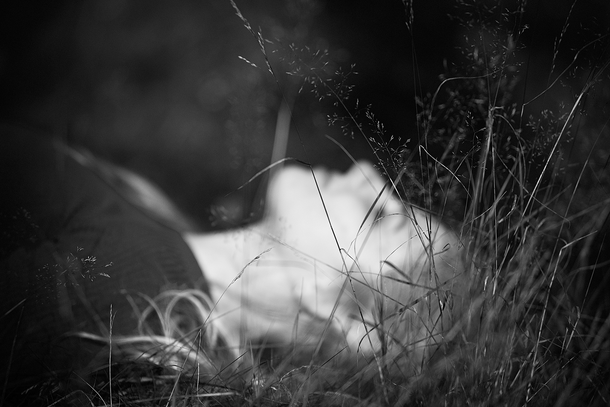 Чувственный портрет. Портретный фотограф Белград Матвей Кармаков