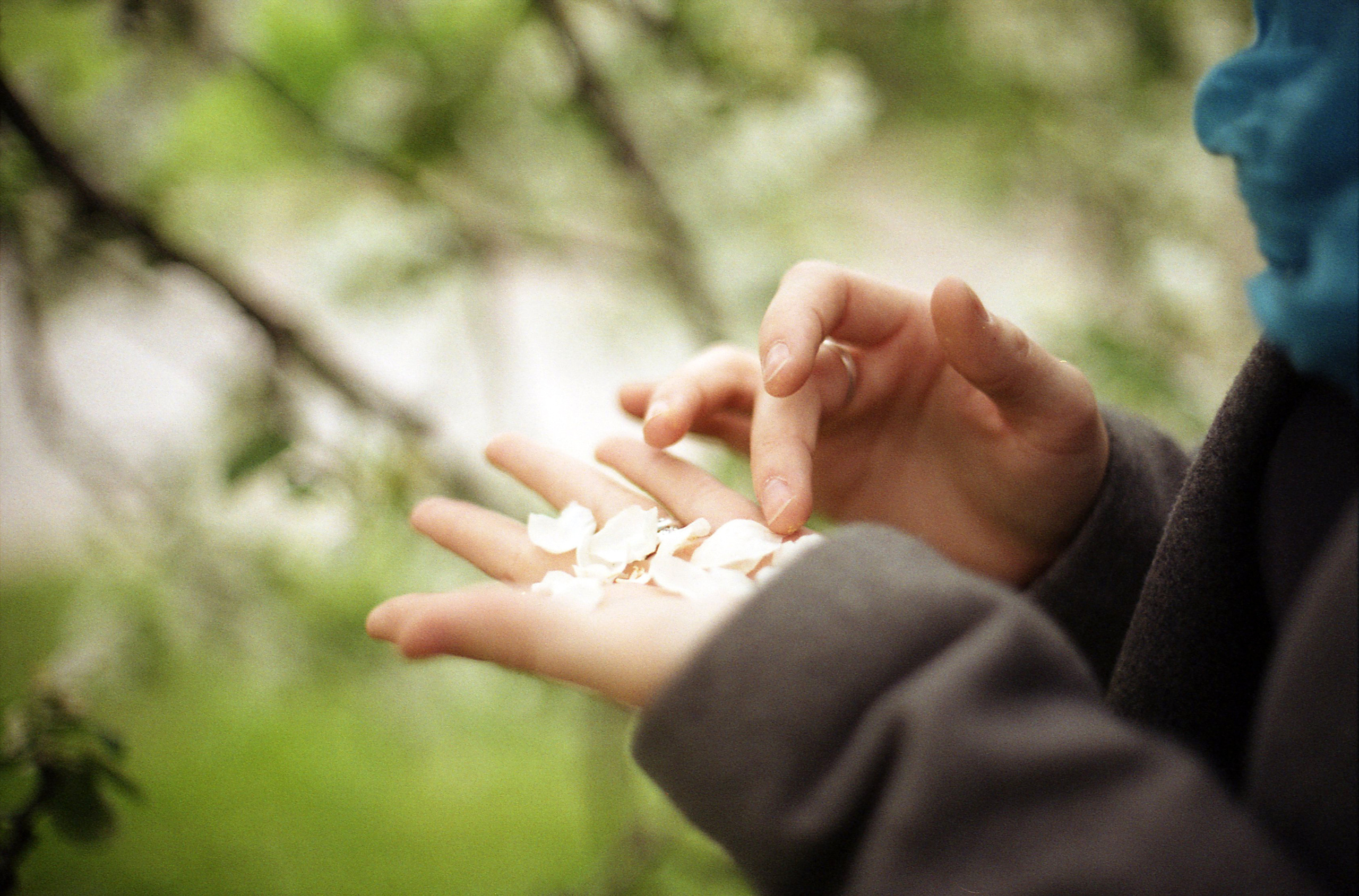 Фотосъемка в цветущем саду. Портретный фотограф Белград Матвей Кармаков