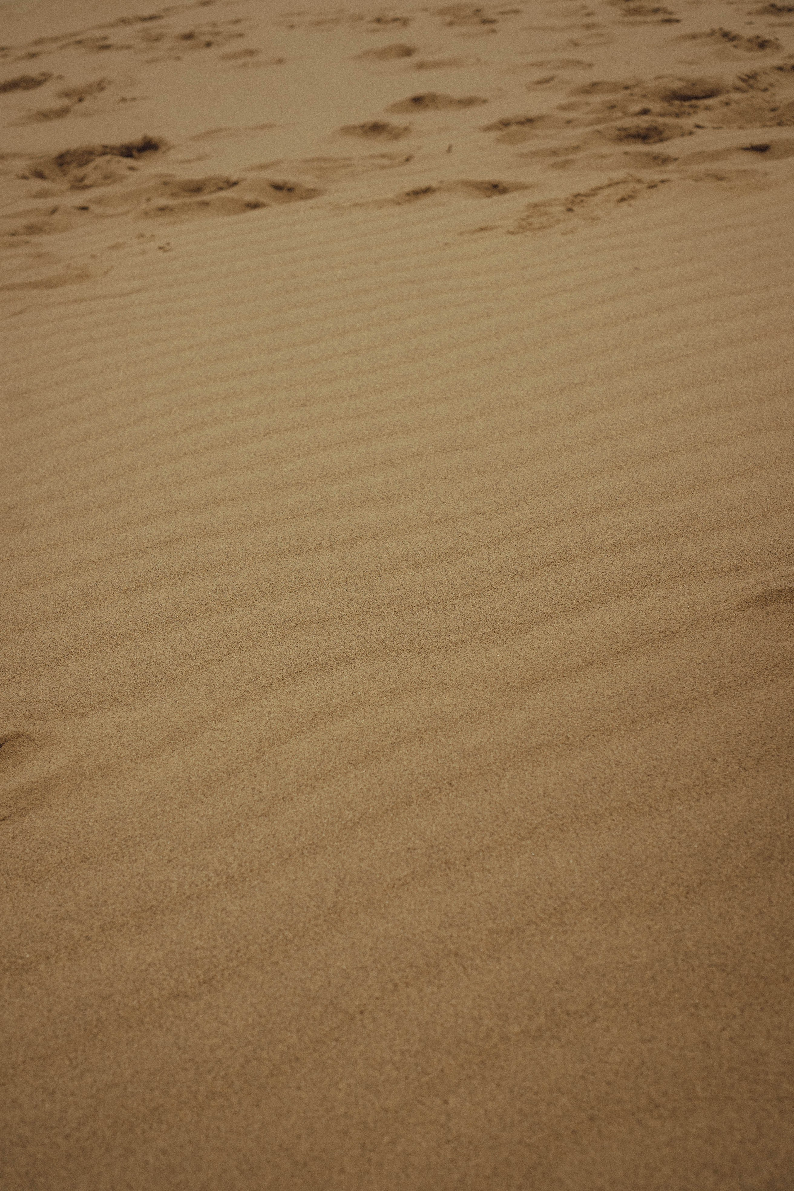 Кавказ. Профессиональный фотограф, Санкт-Петербург — Виктория Богомолова