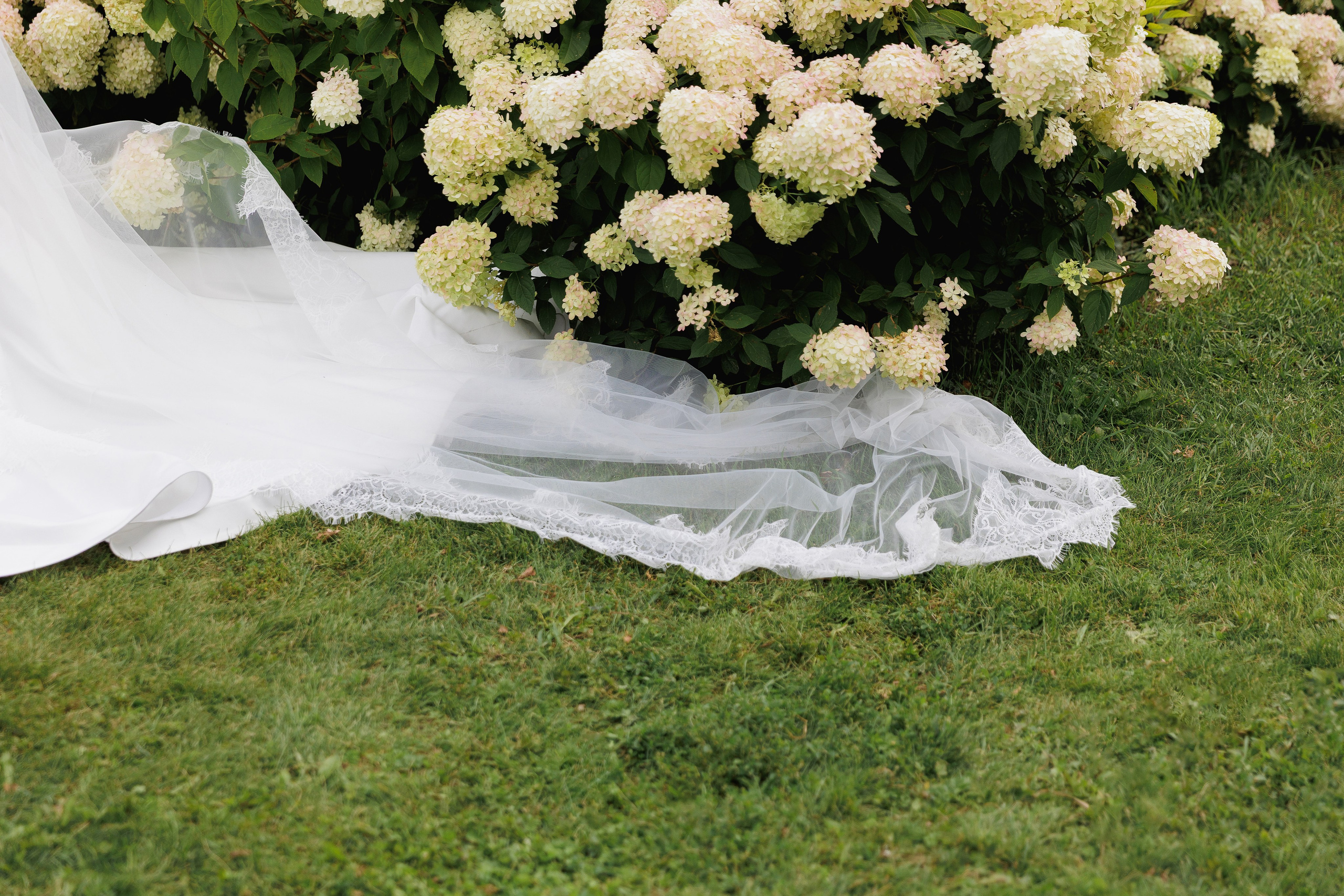 Данил и Алина. Фотограф Андреева Алёна