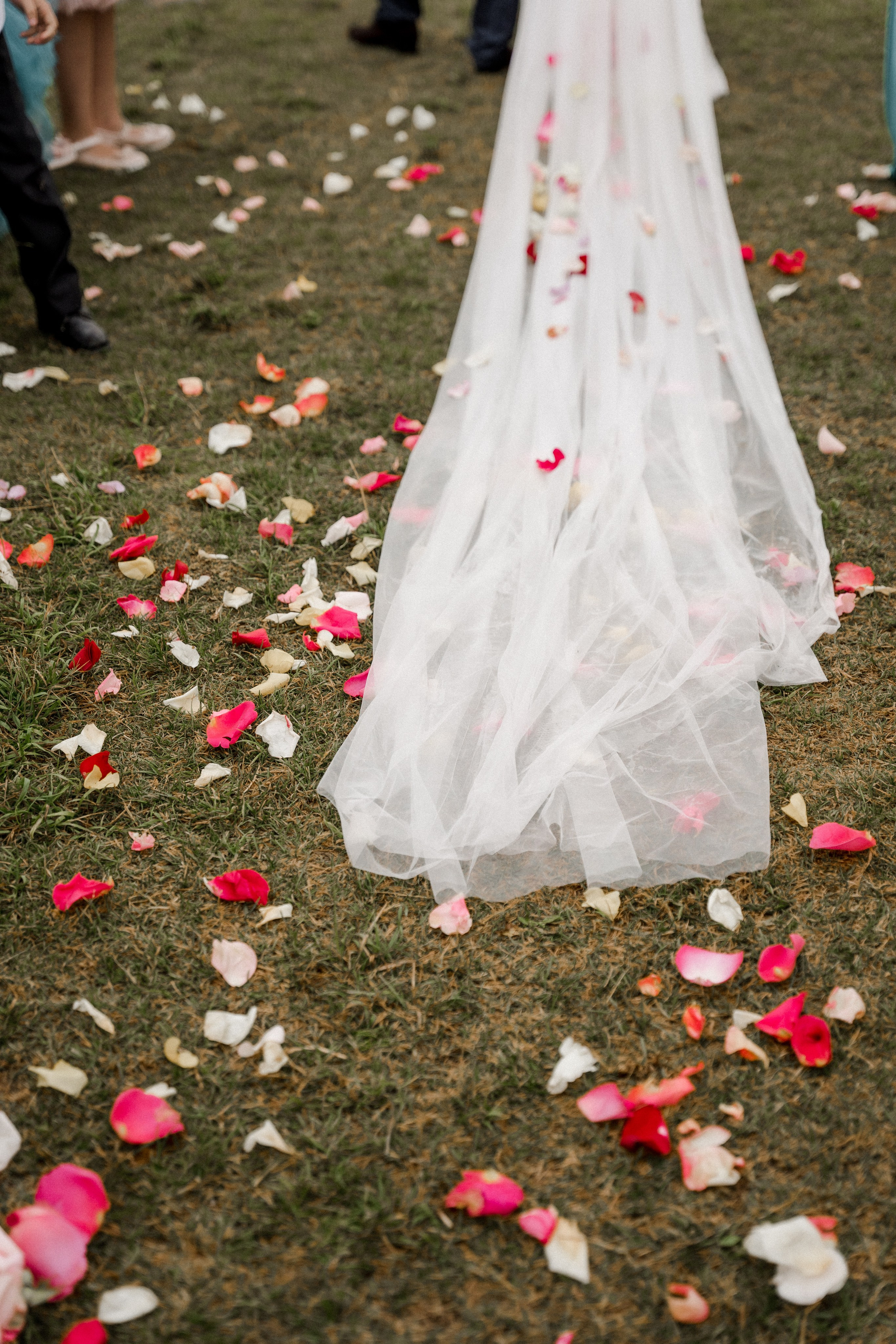 Maxim & Liana. Dolce_wedding