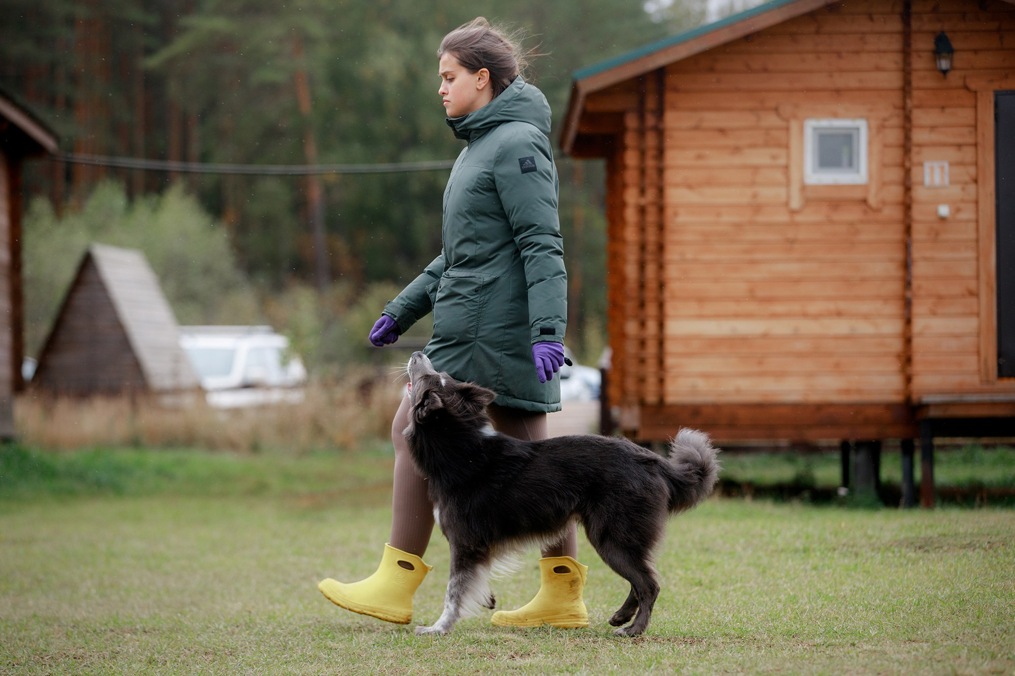 Лагерь по ОБД с Инной Баженовой. Фотограф-анималист Mary Mart — Москва, Питер