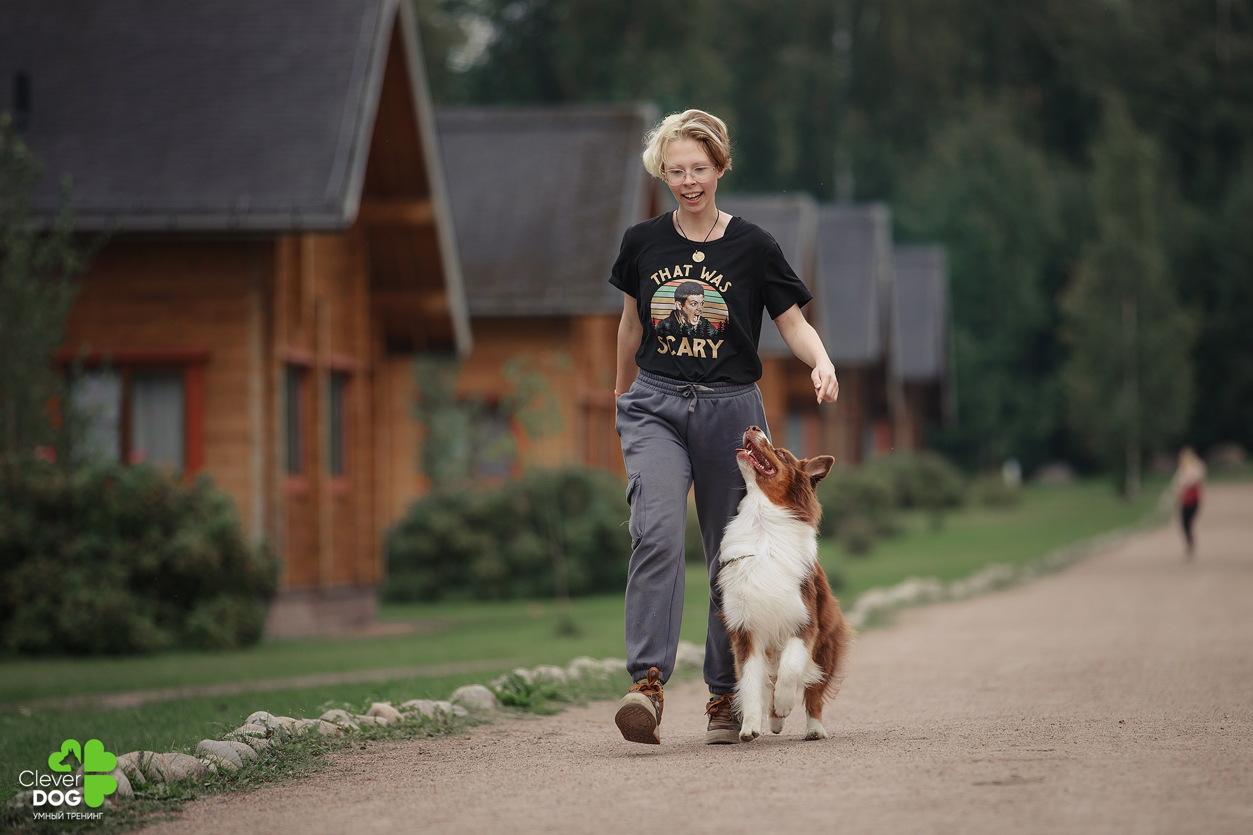 Кинологический лагерь CleverDog, 2024. Фотограф-анималист Mary Mart — Москва, Питер