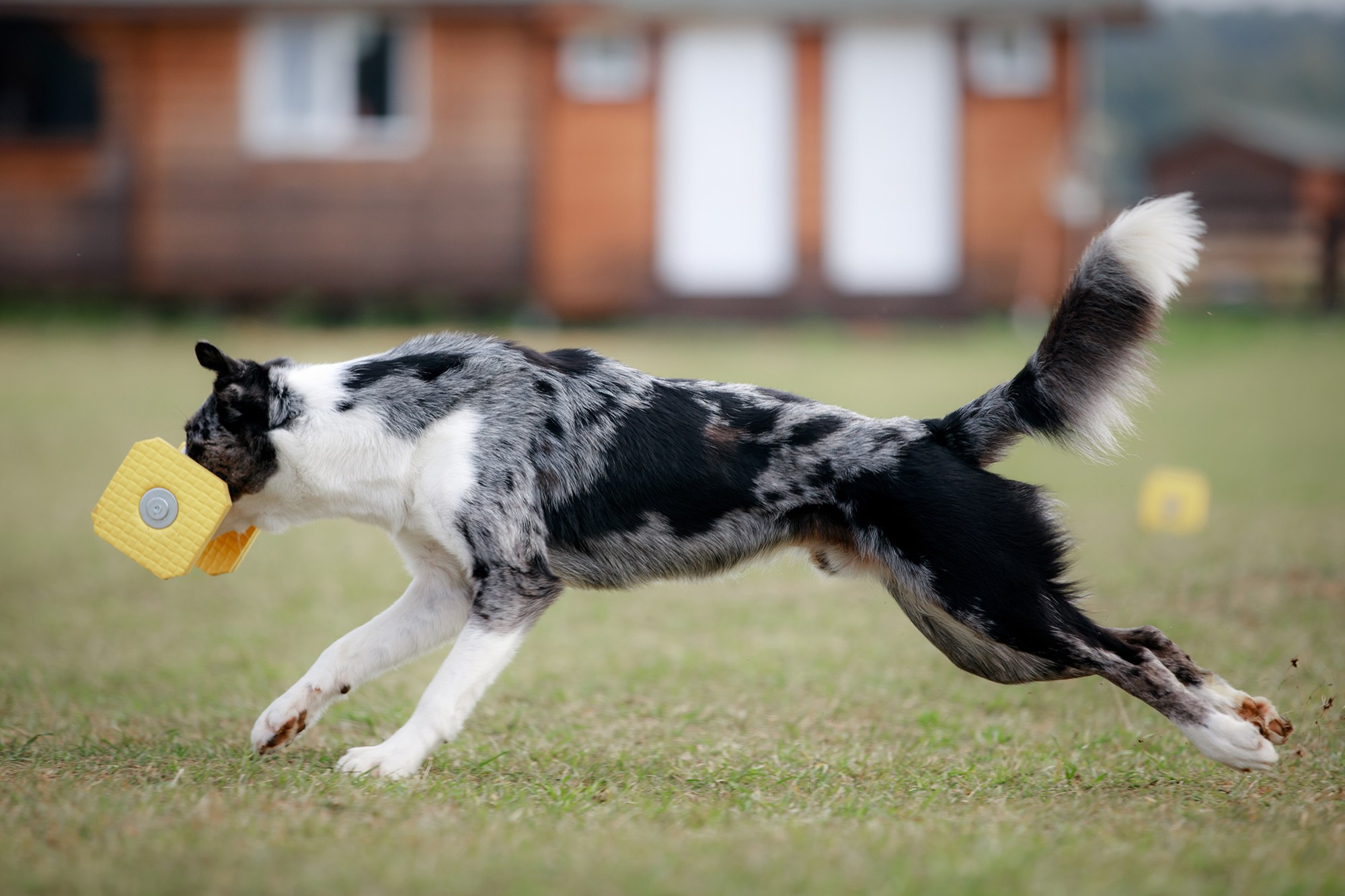 Лагерь по ОБД с Инной Баженовой. Фотограф-анималист Mary Mart — Москва, Питер
