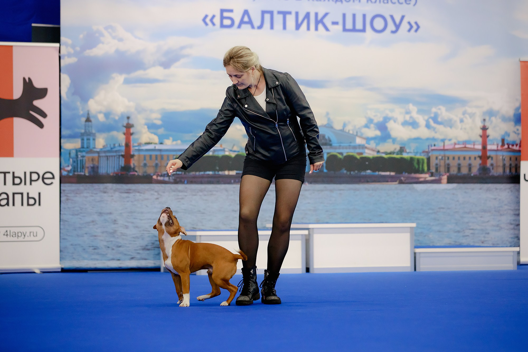 Танцы на выставке «Зоошоу», СПб. Фотограф-анималист Mary Mart — Москва, Питер