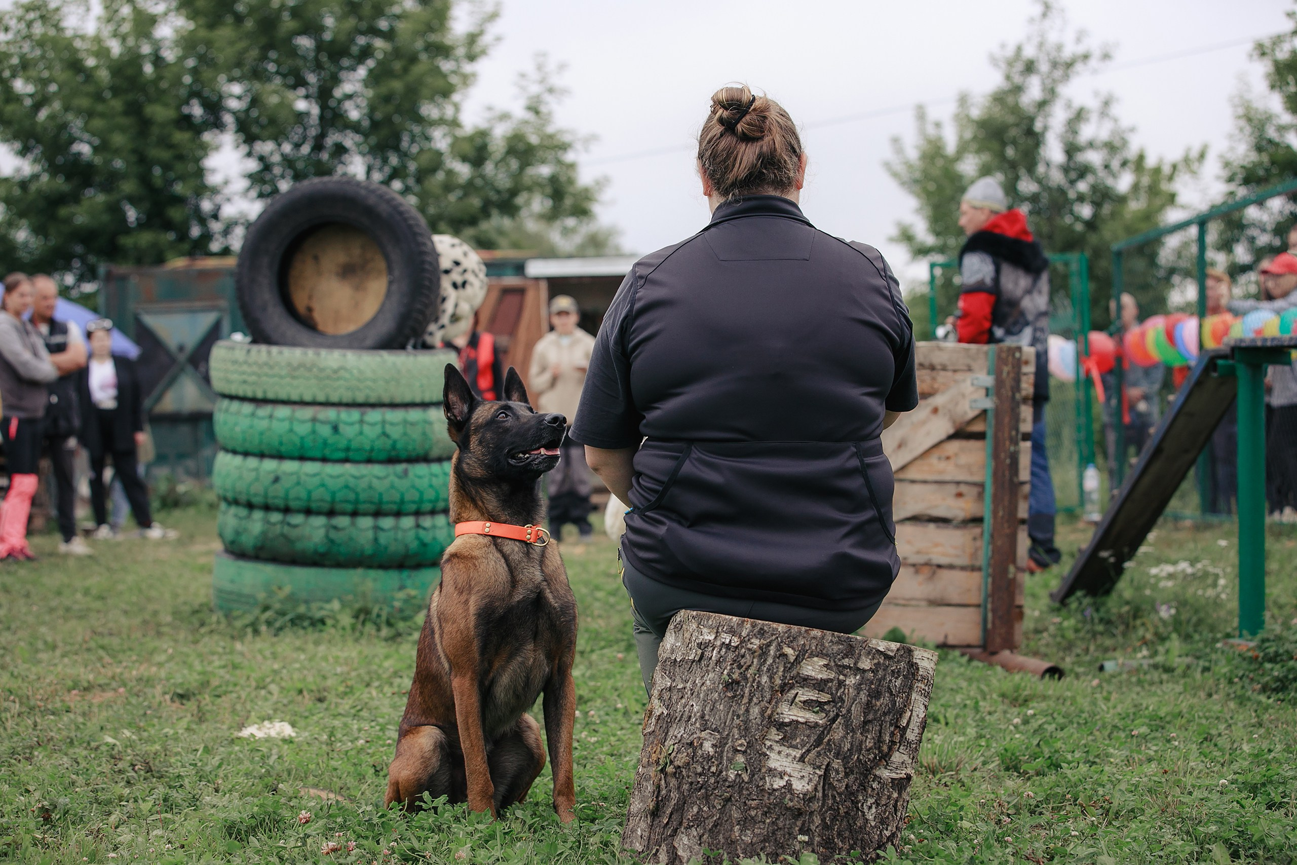Мондьоринг М1, М2, М3, Вологда. Фотограф-анималист Mary Mart — Москва, Питер