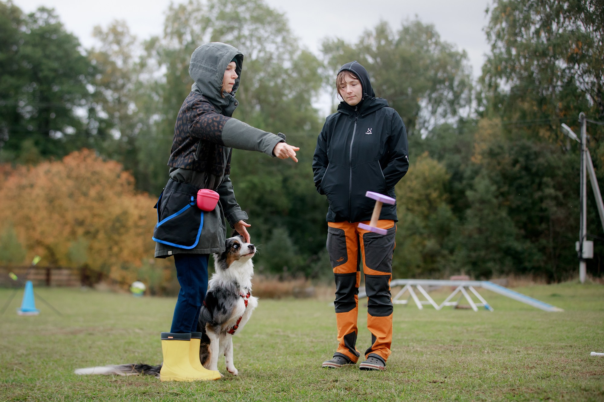Лагерь по ОБД с Инной Баженовой. Фотограф-анималист Mary Mart — Москва, Питер