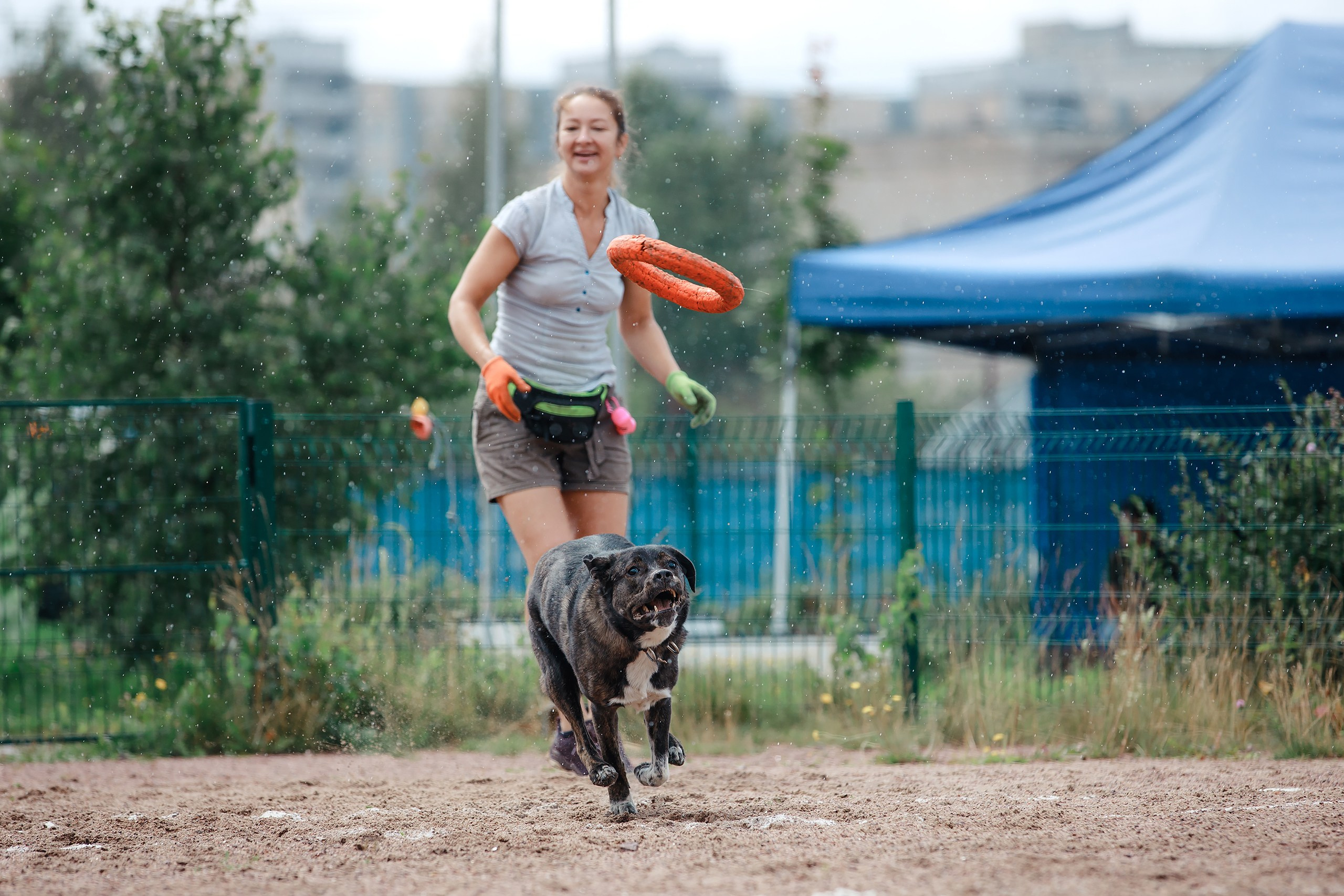 Питч&Гоу + веселые старты. Фотограф-анималист Mary Mart — Москва, Питер