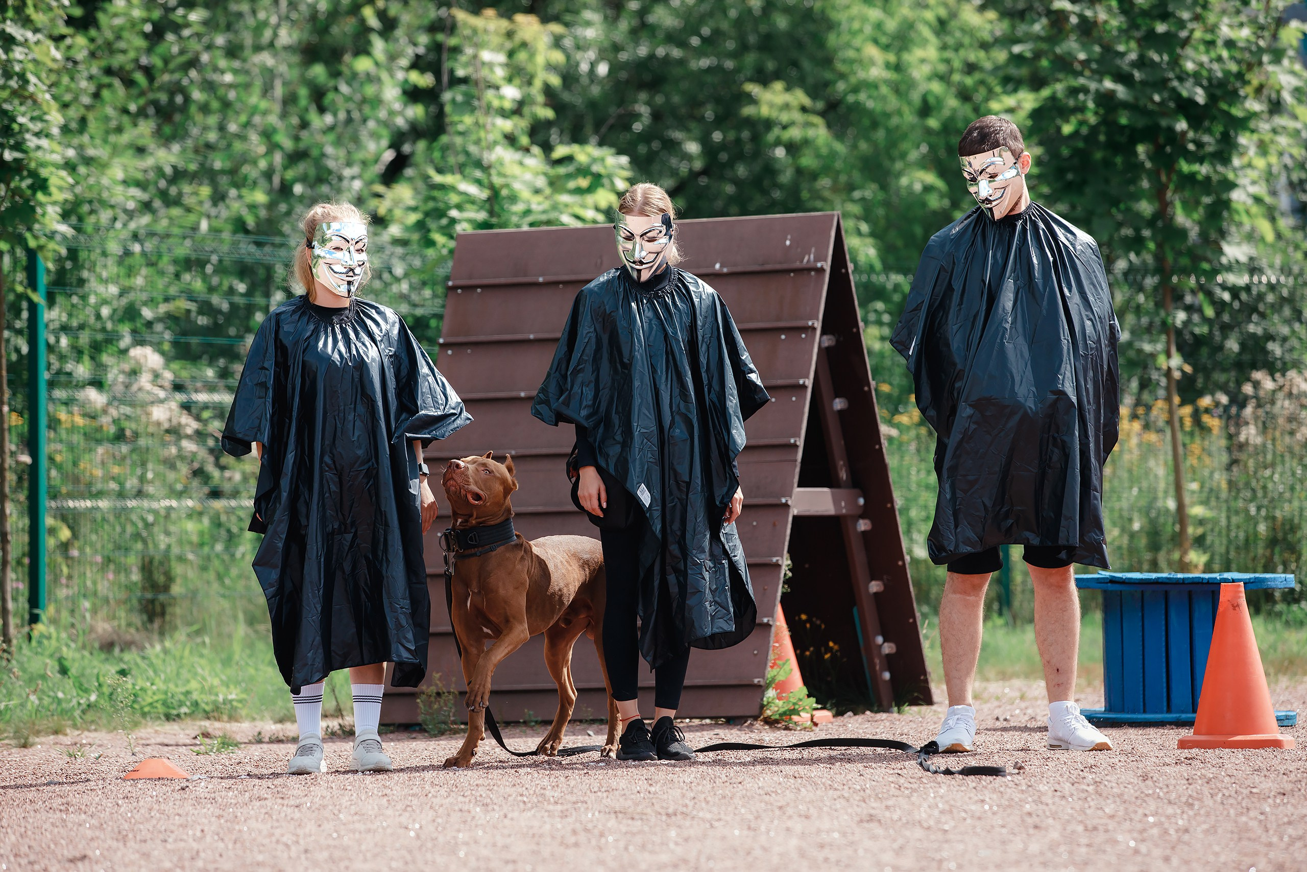 Питч&Гоу + веселые старты. Фотограф-анималист Mary Mart — Москва, Питер