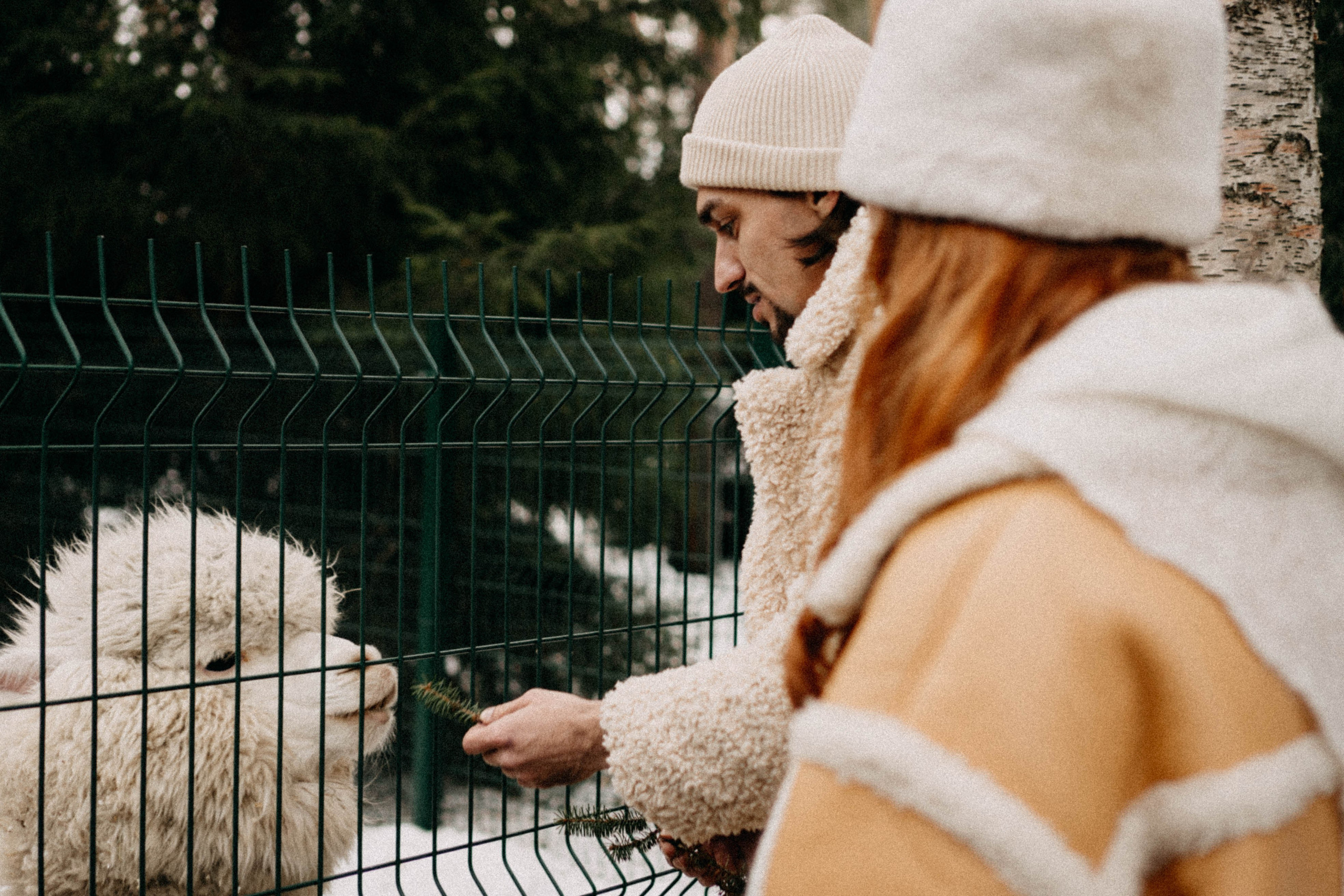 Каток. Профессиональный фотограф, Санкт-Петербург — Виктория Богомолова