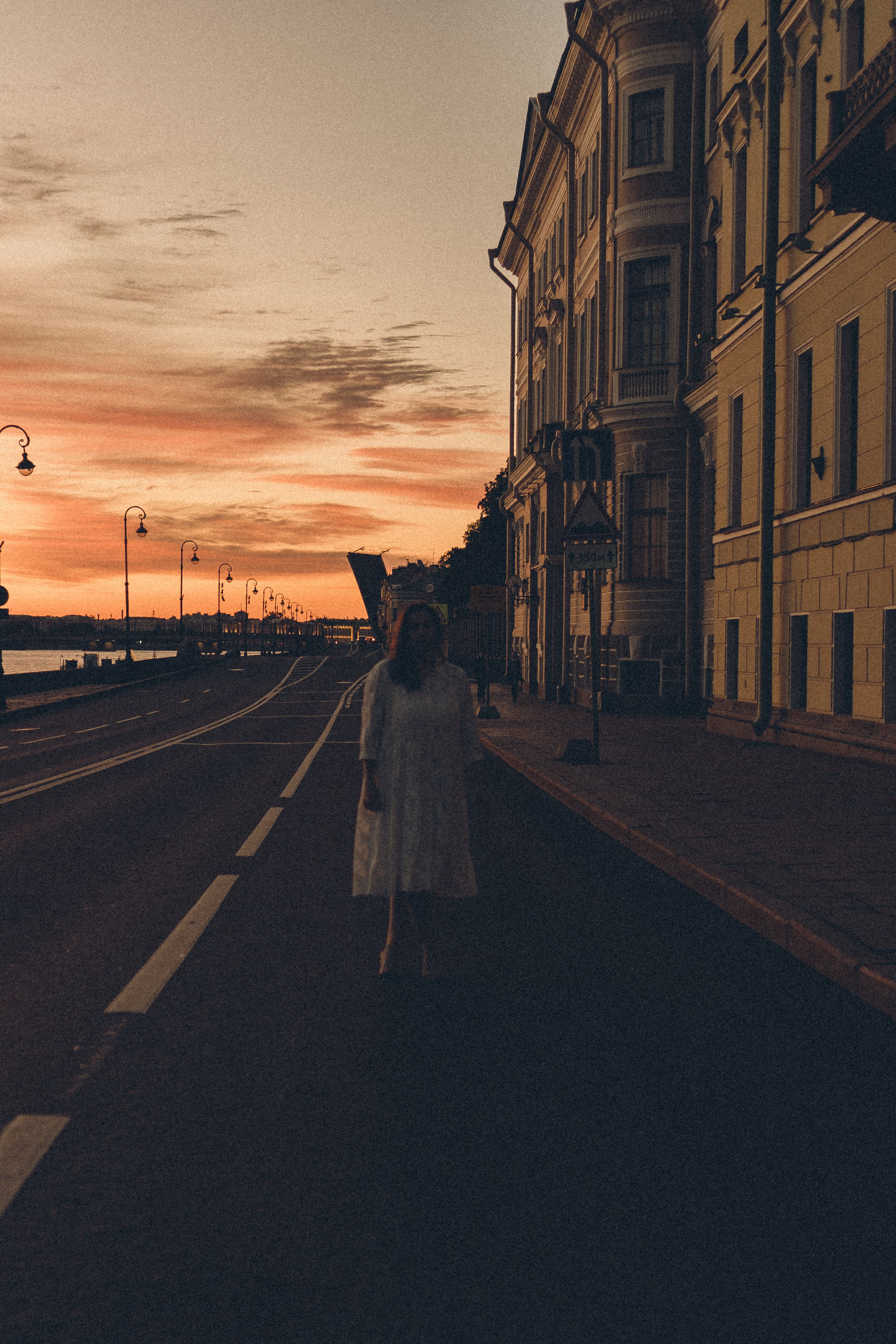 РАССВЕТ С РАЗВОДНЫМИ МОСТАМИ. Профессиональный фотограф, Санкт-Петербург — Виктория Богомолова