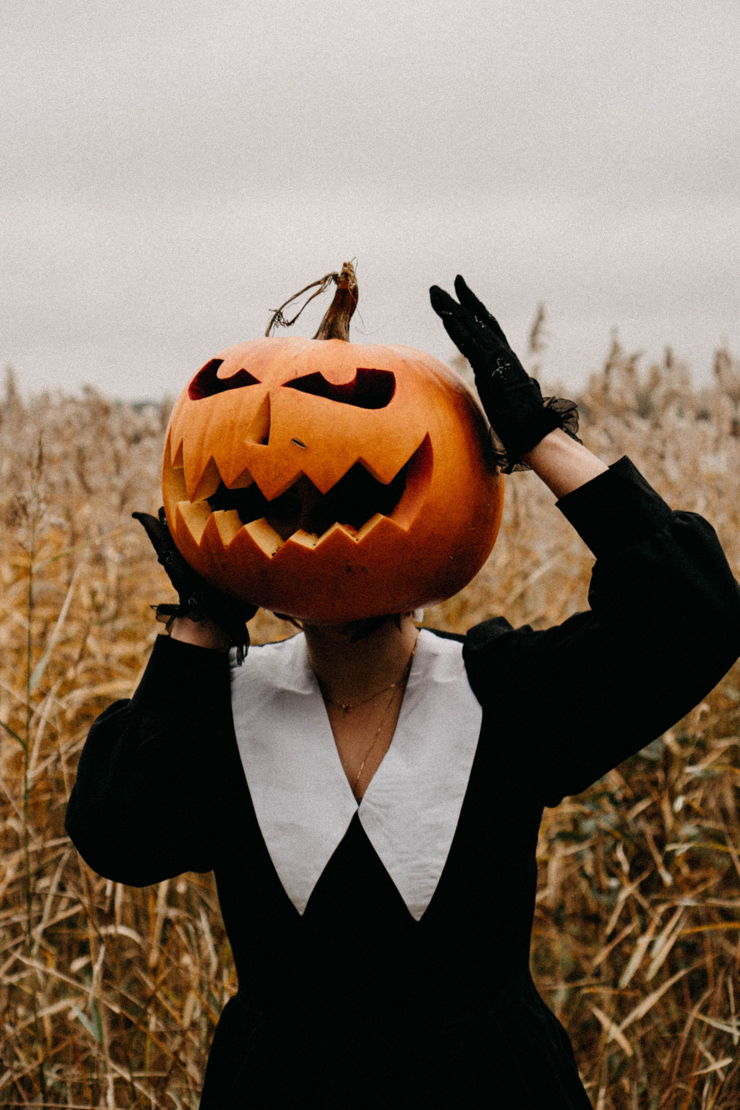 Осеняя. Профессиональный фотограф, Санкт-Петербург — Виктория Богомолова