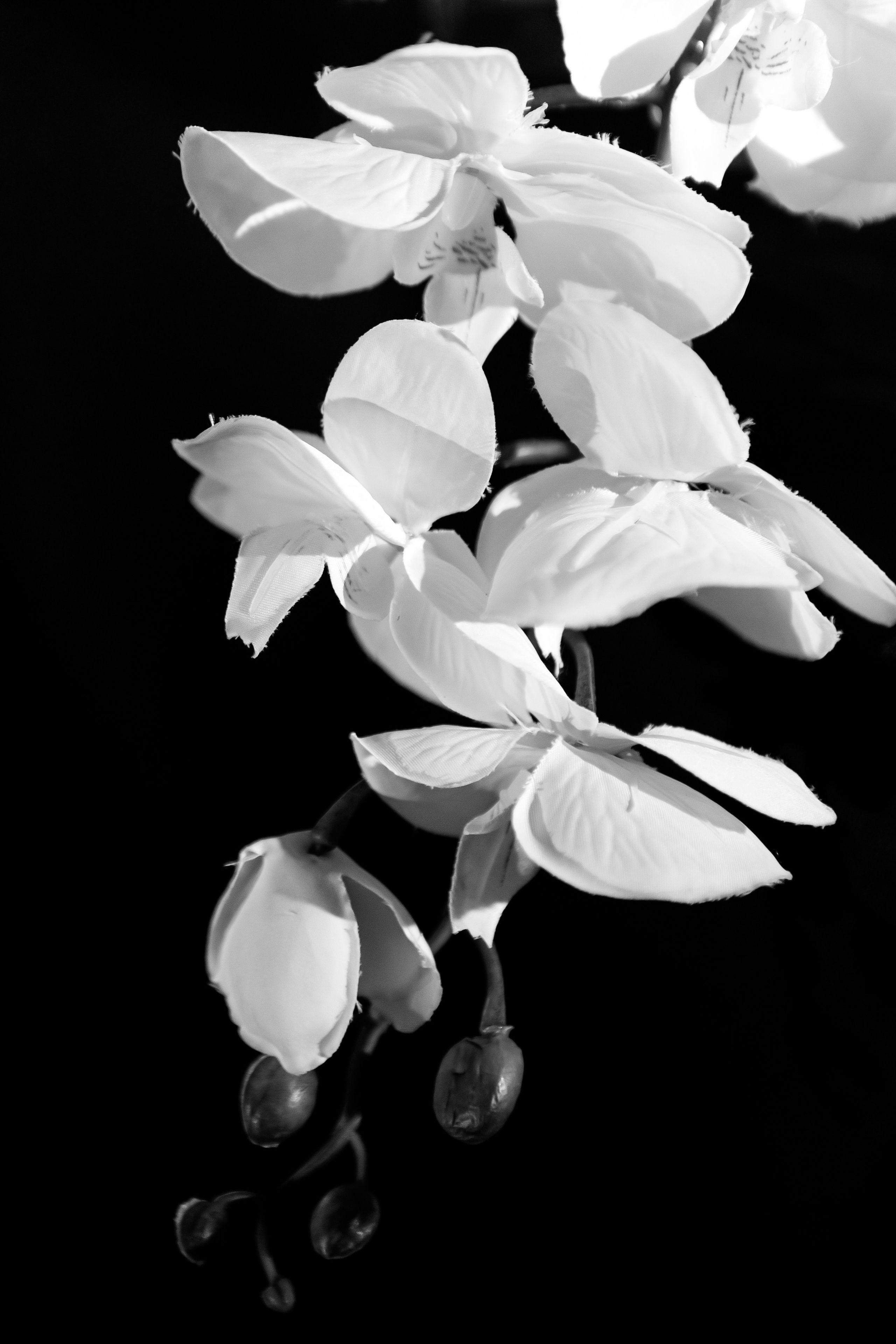 Признаваться в любви тому, кого любишь. Фотограф @alexandradmitrievaph