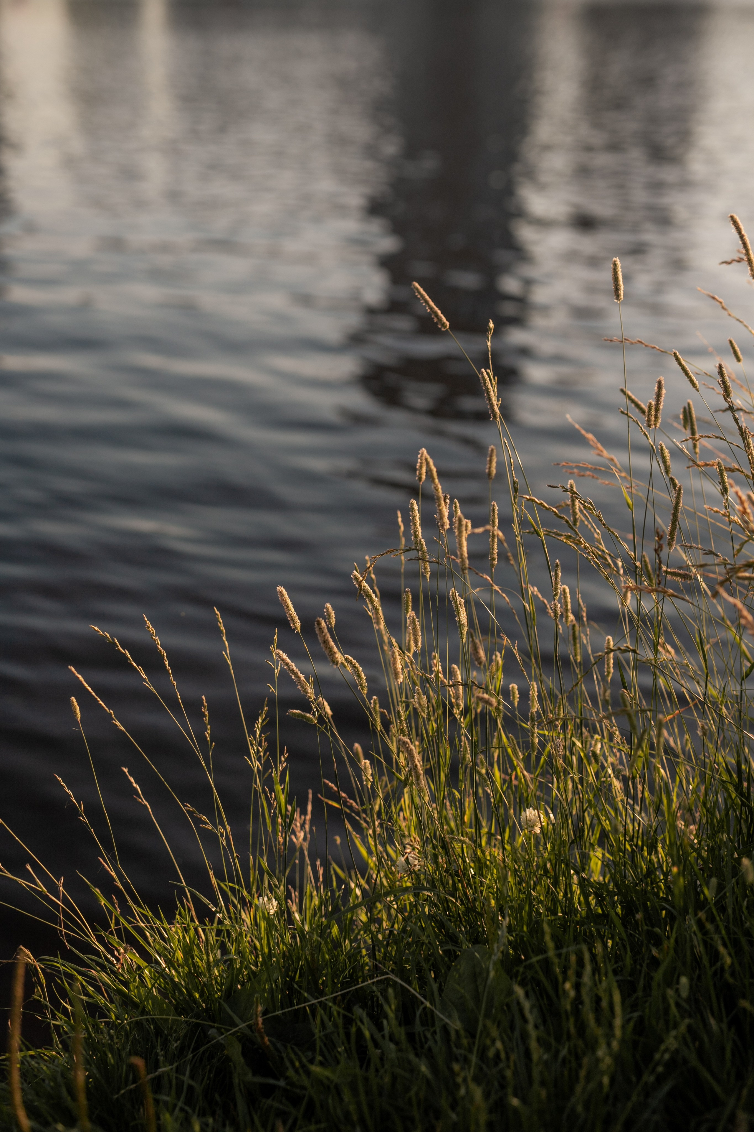 Семья Глуховых. Фотограф Анастасия Петрова