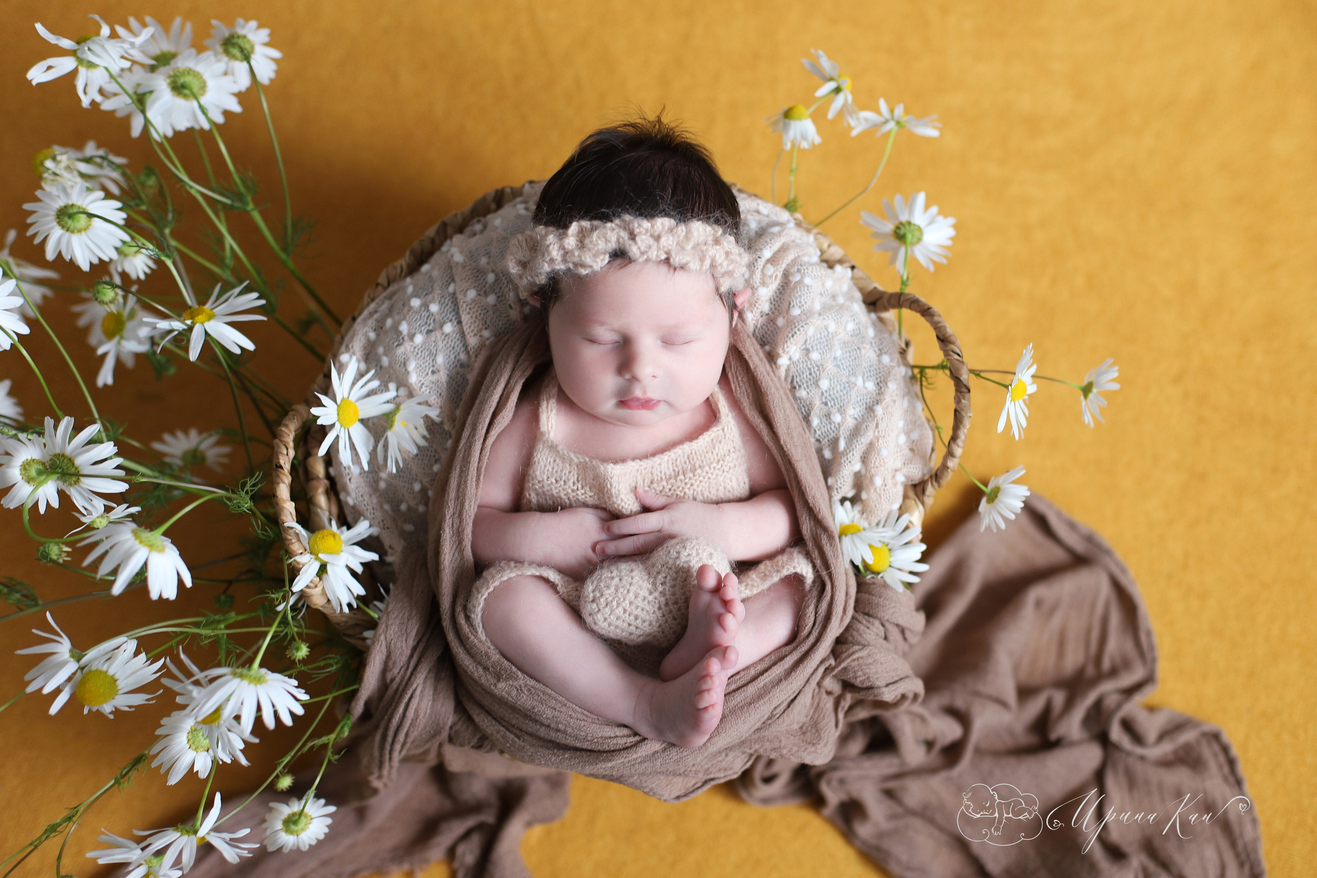 Новорожденная фотосессия для девочек. Ирина Кан Фотограф новорожденных в Екатеринбурге