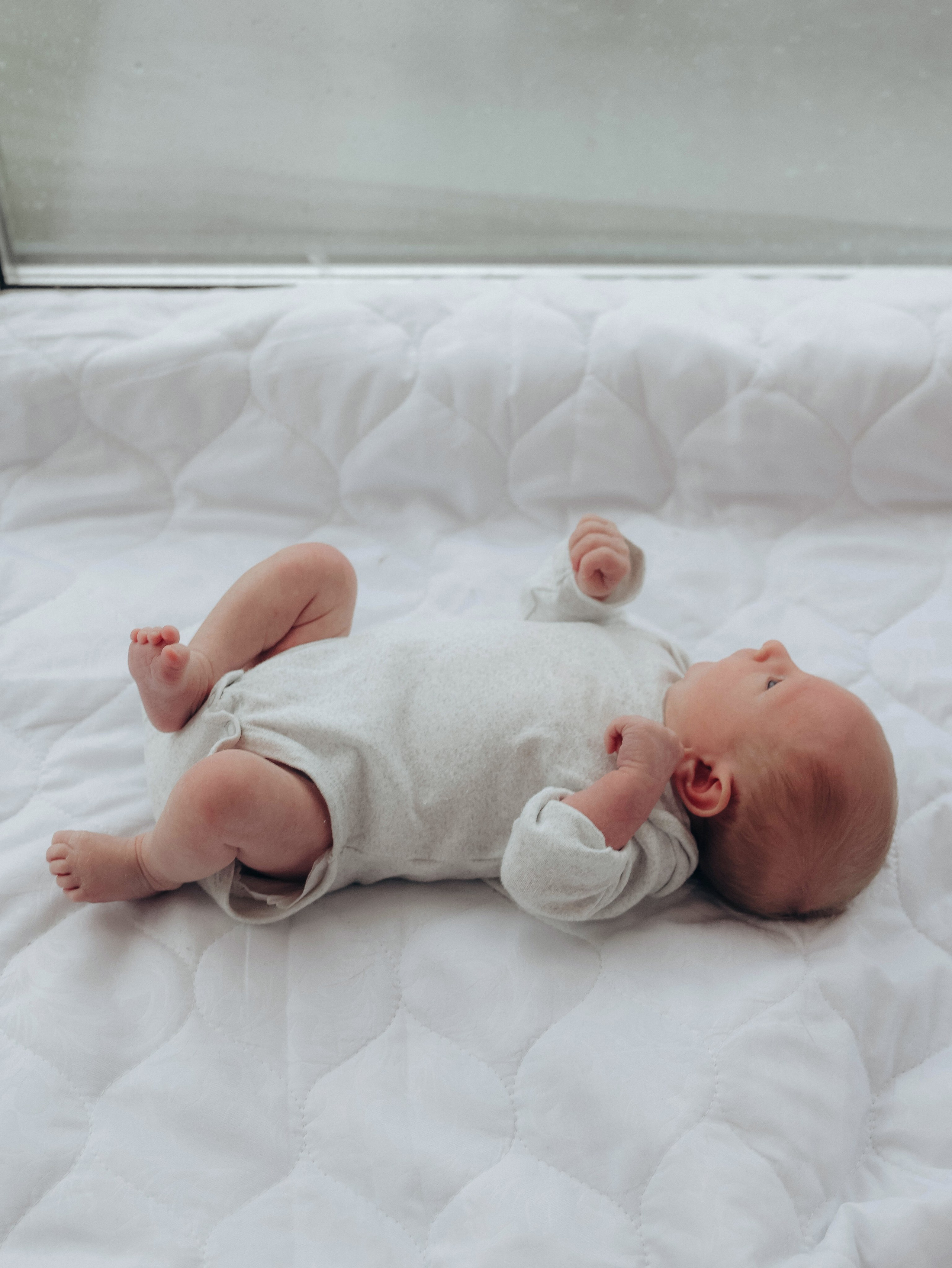 Любовь и котики. Мультифотограф Динара Ахмедзянова