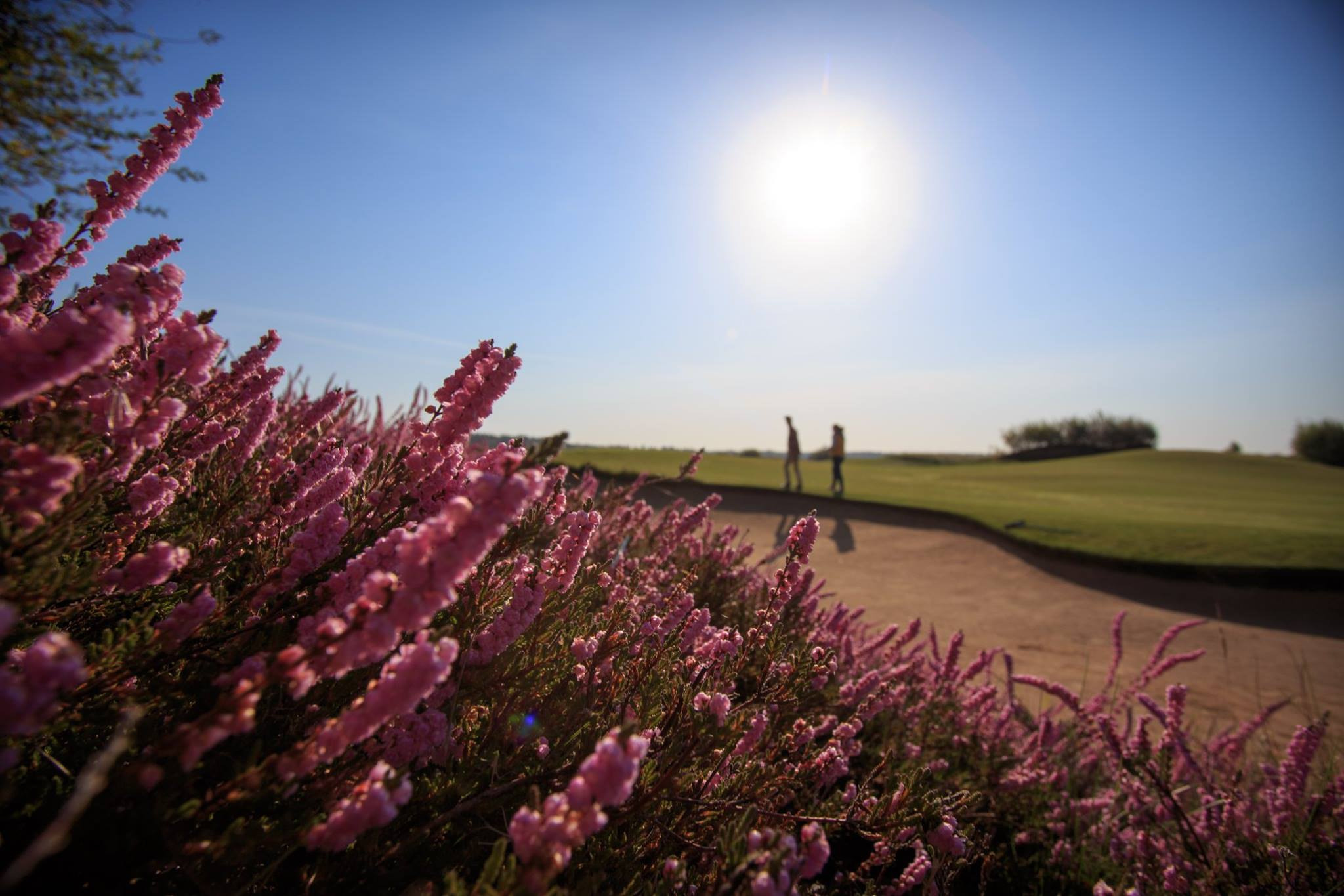 GOLF. Photo/Video Production